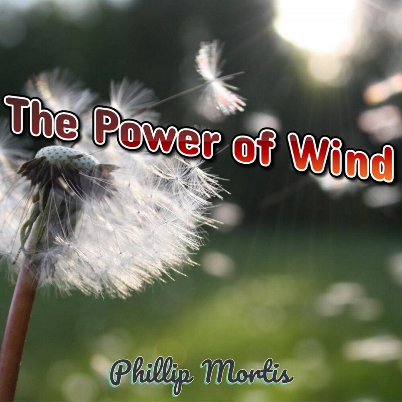 The Power of Wind