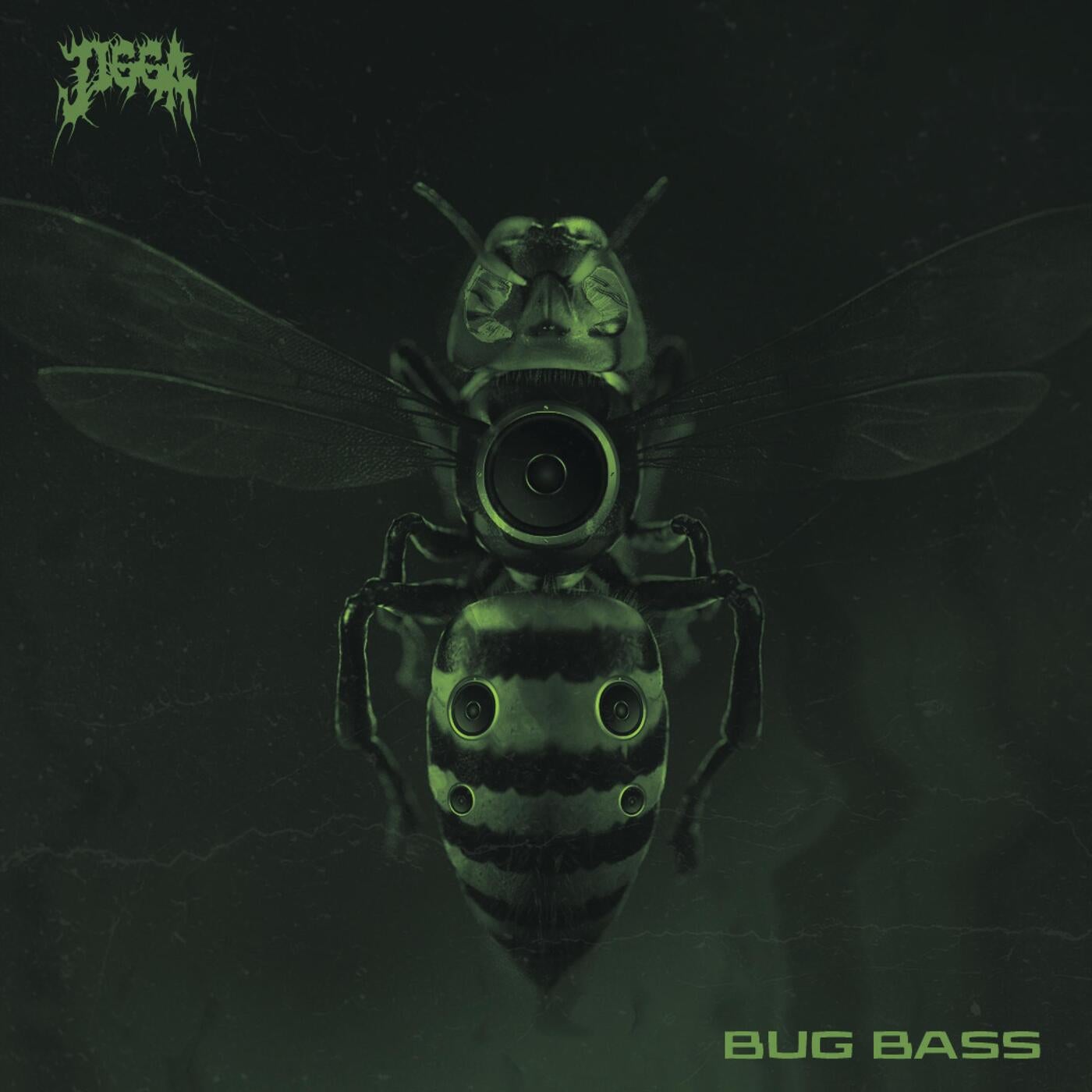 Bug Bass