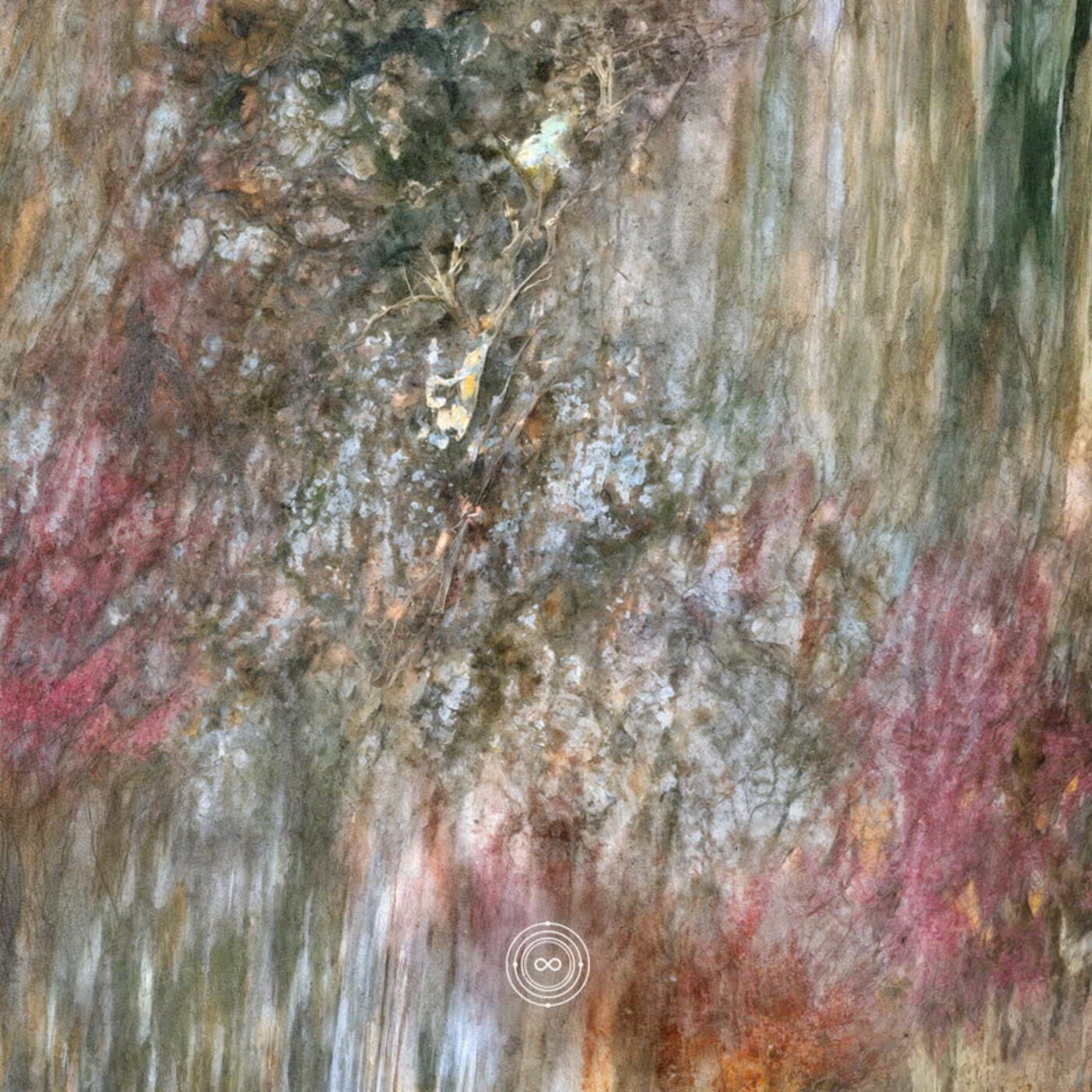 Cover art for Neo Form