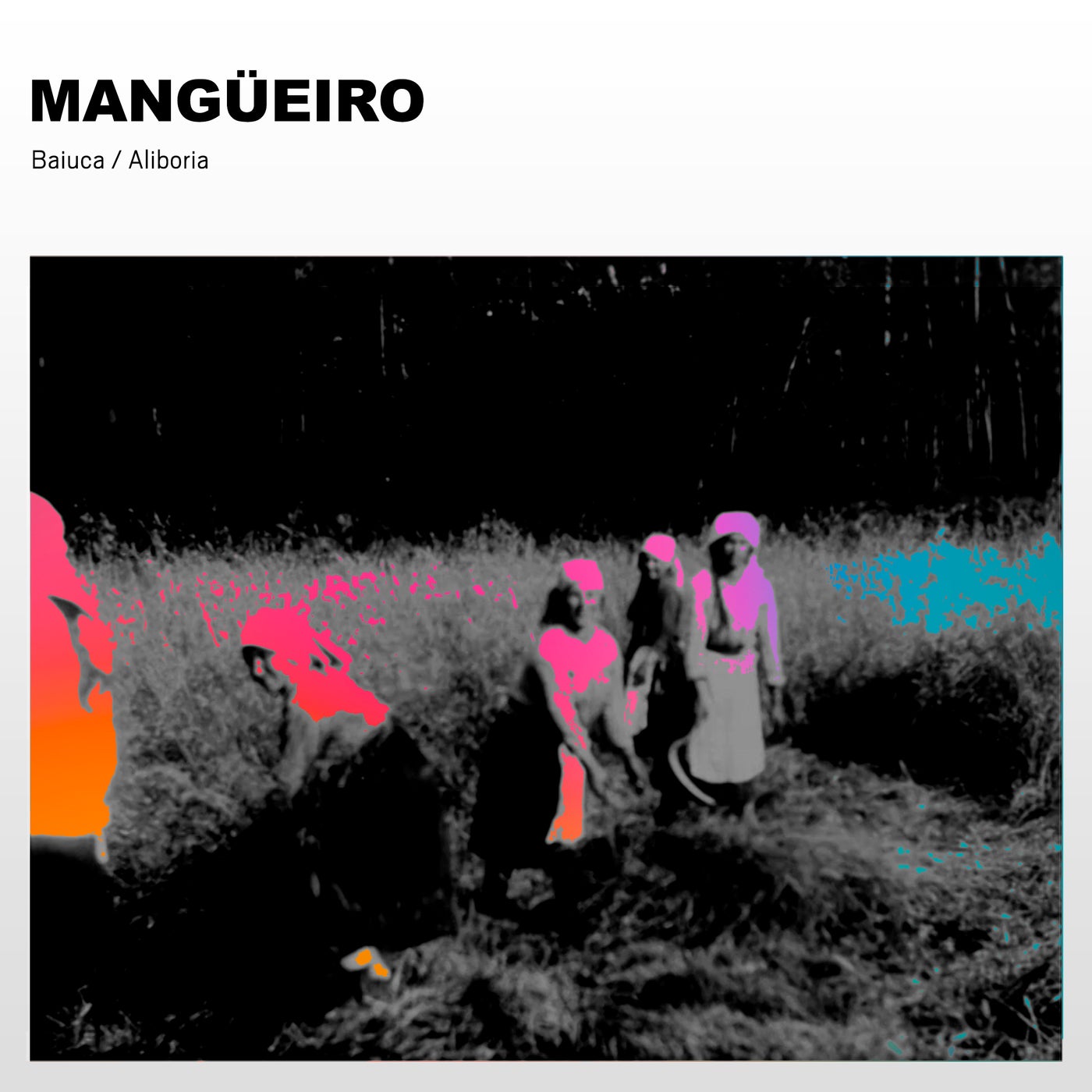 Mangueiro