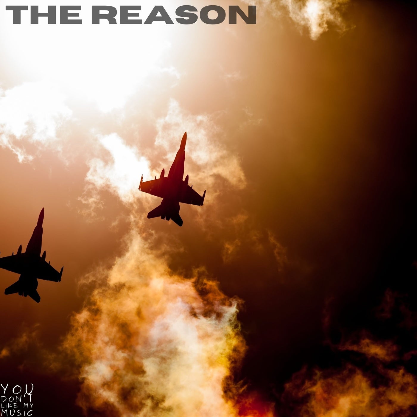 The Reason