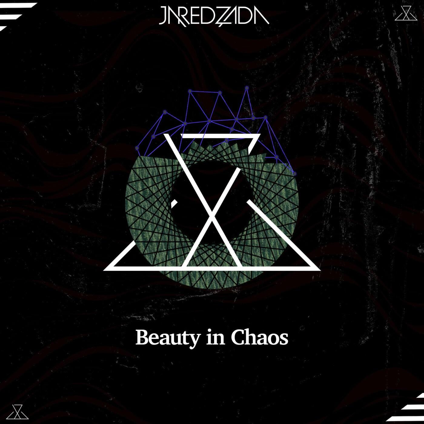 Beauty in Chaos