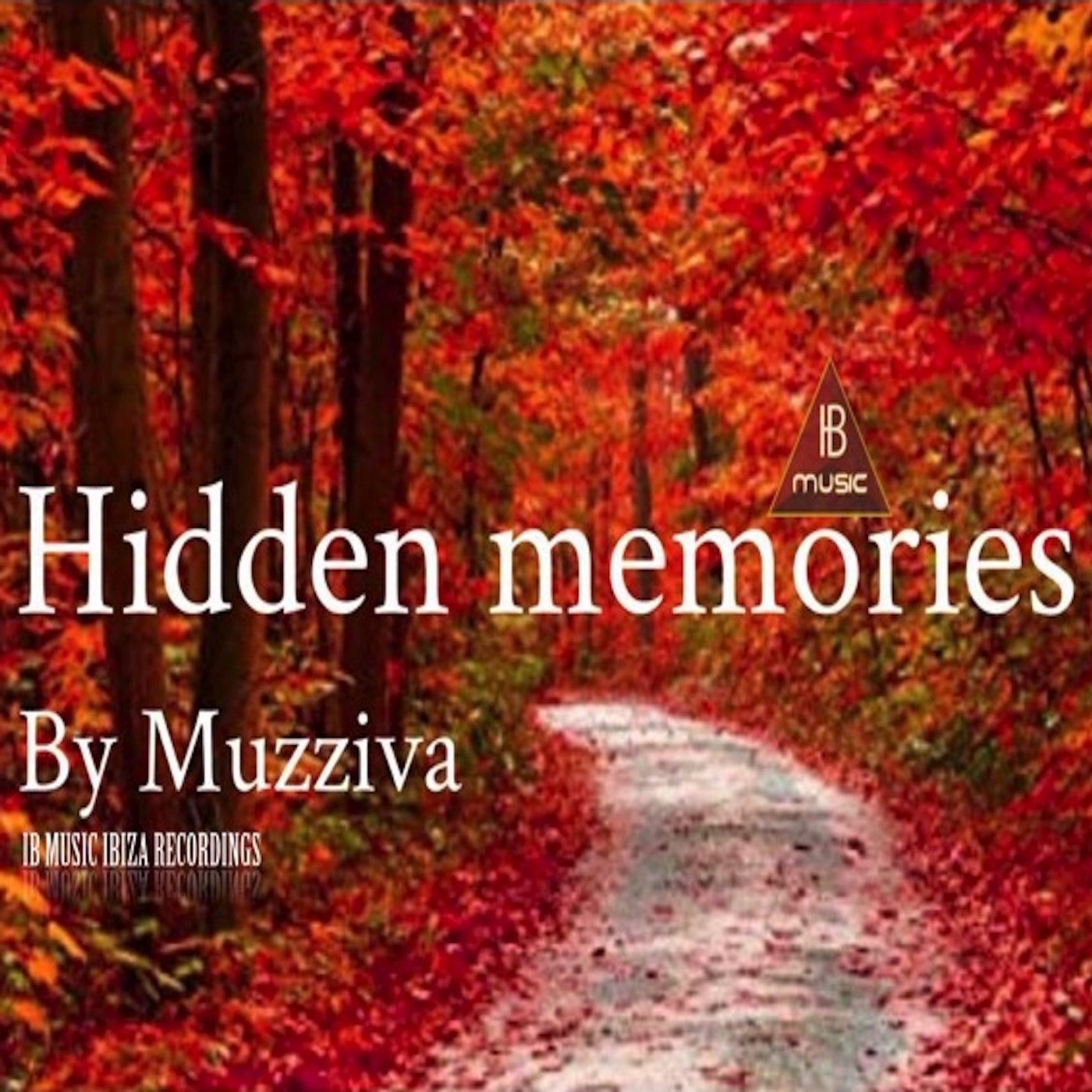 Hidden Memories