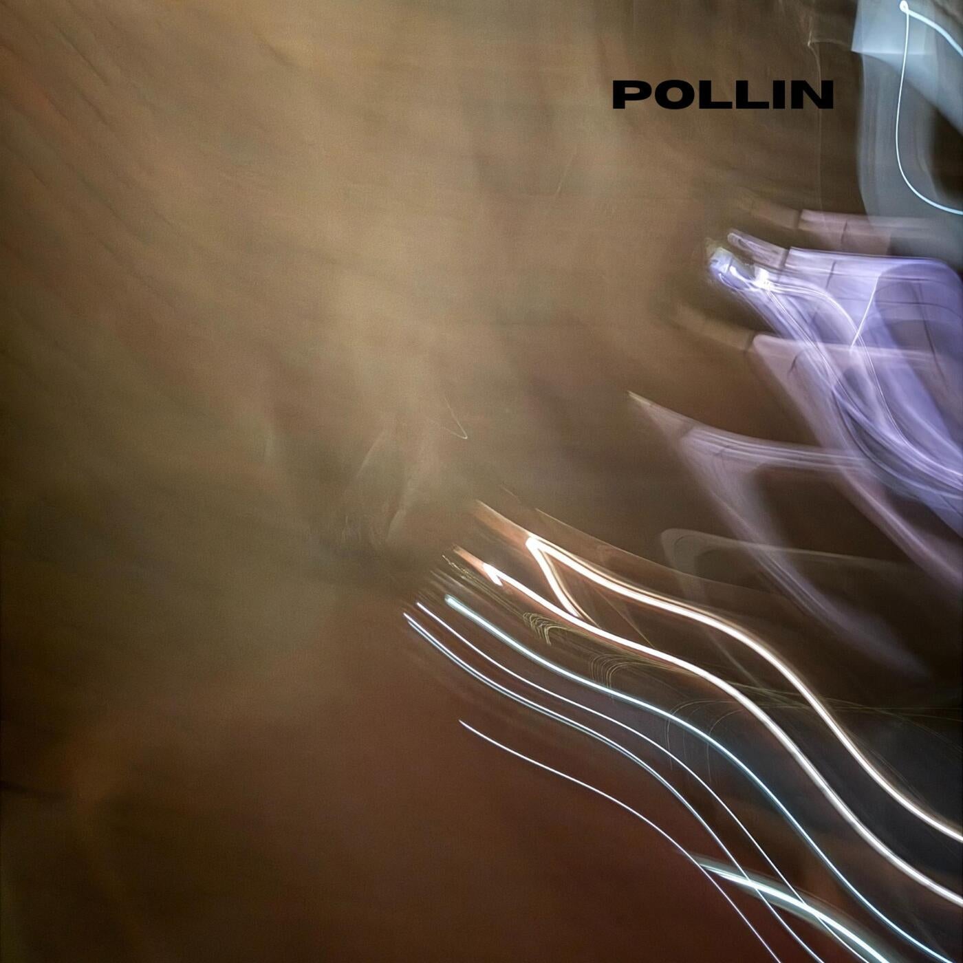 Pollin