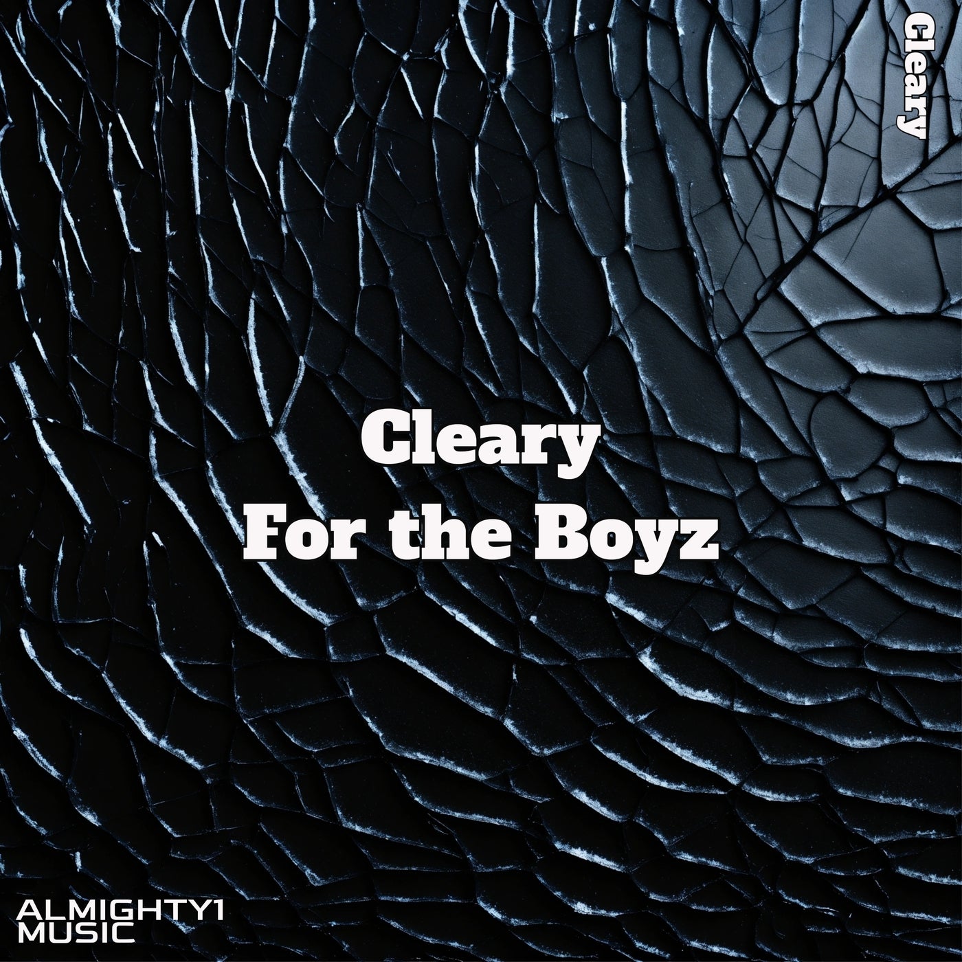 For the Boyz
