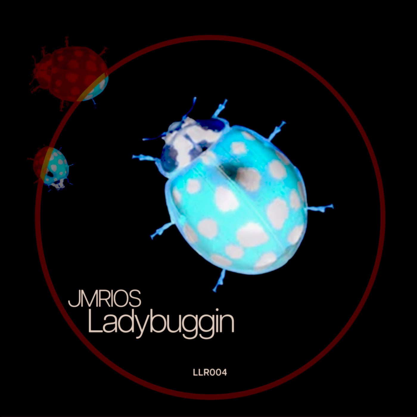 Ladybuggin