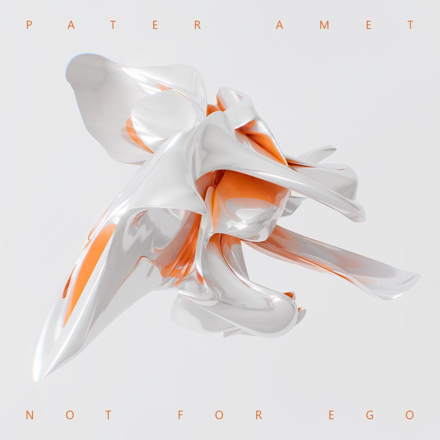 NOT FOR EGO