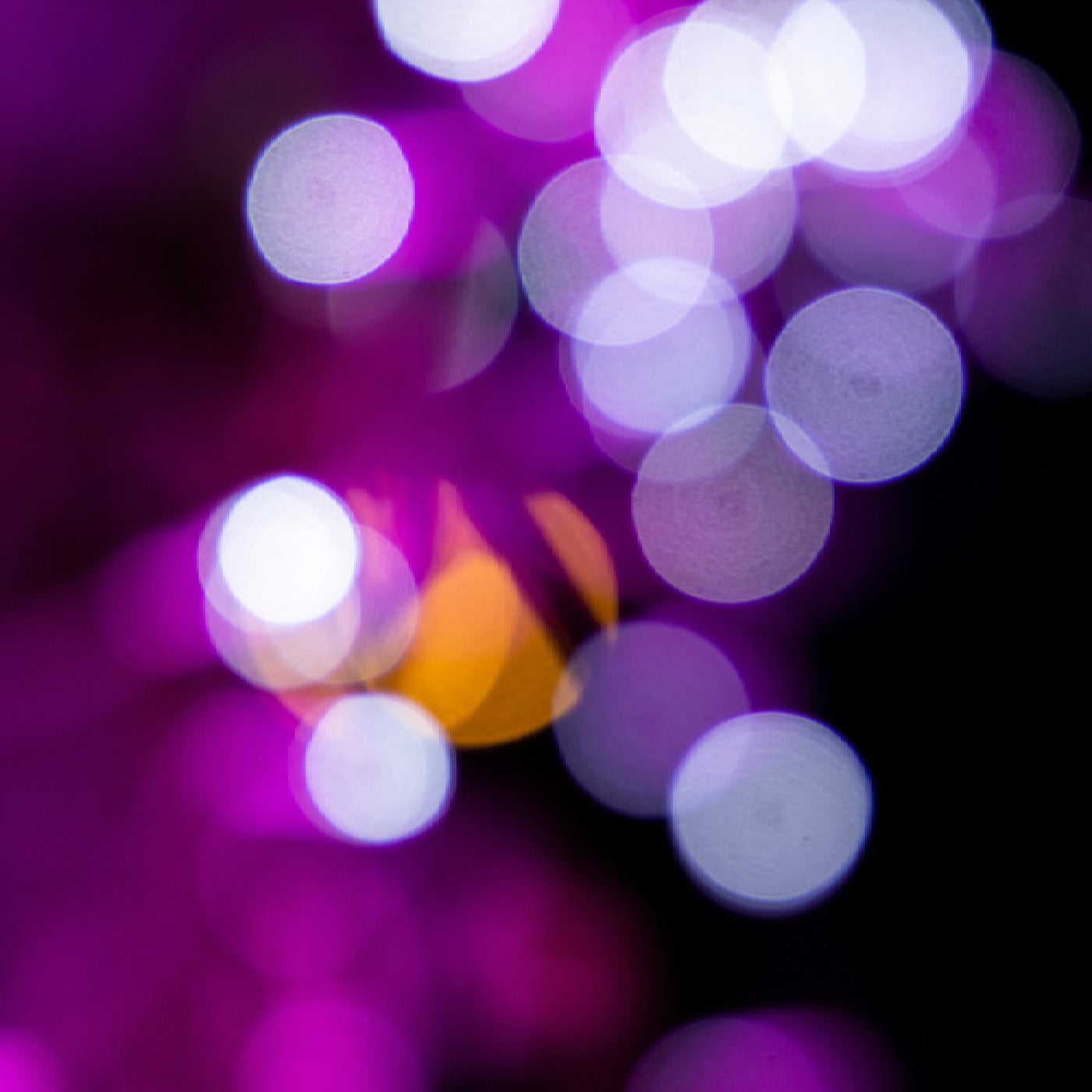 Dance With Me