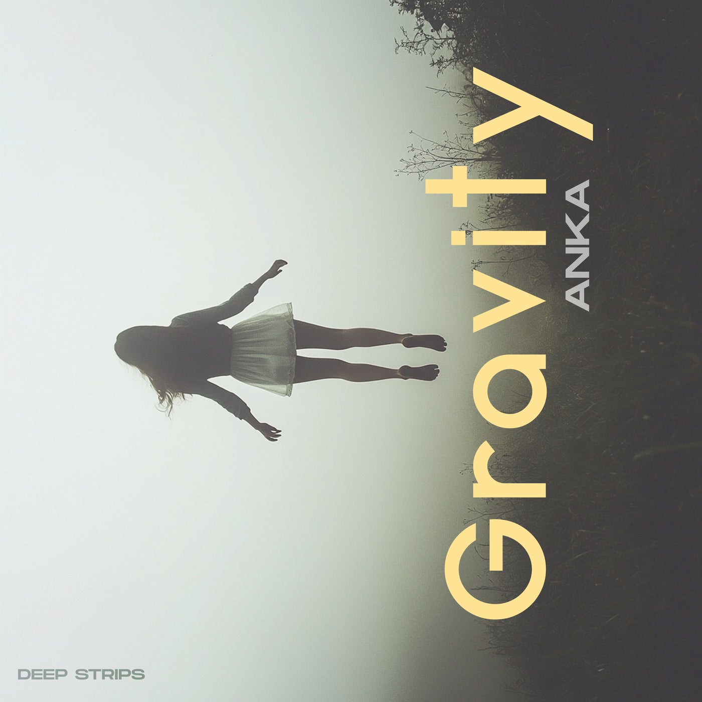 Gravity