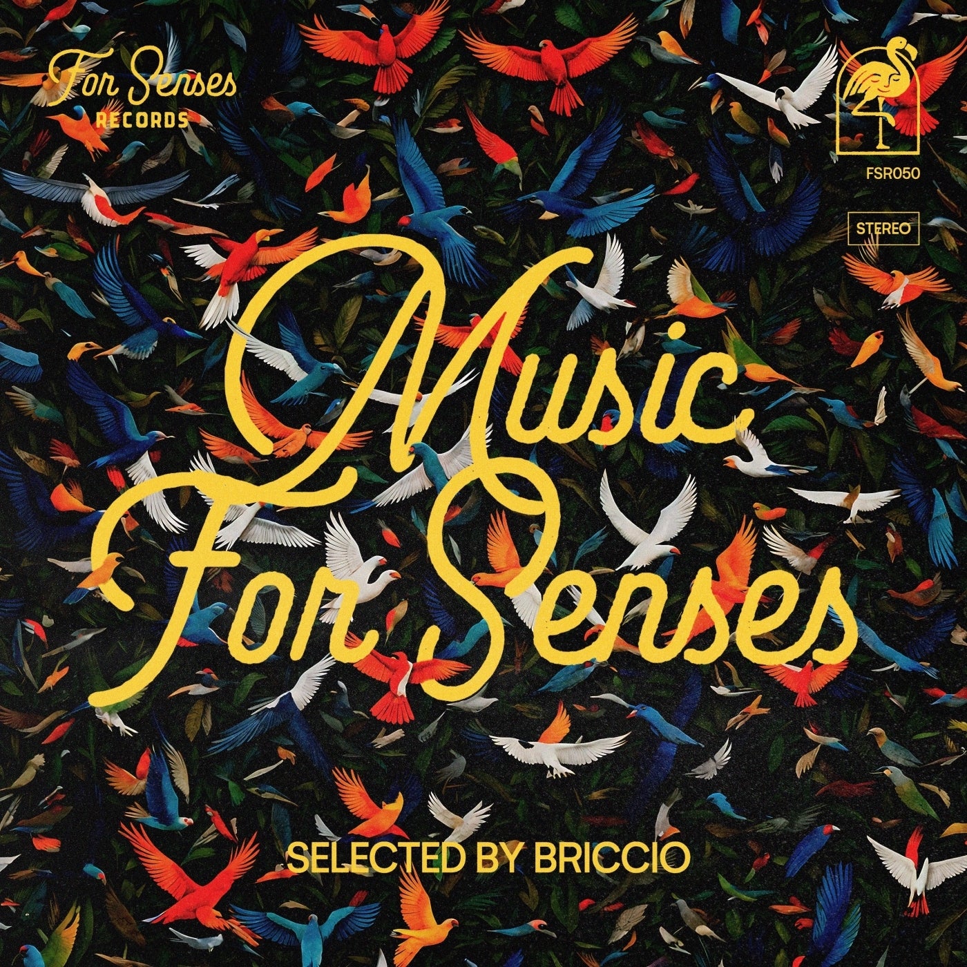 VA – Music for Senses – ADE 2024 Compiled by BRICCIO FSR050 VA – Music for Senses – ADE 2024 Compiled by BRICCIO FSR050