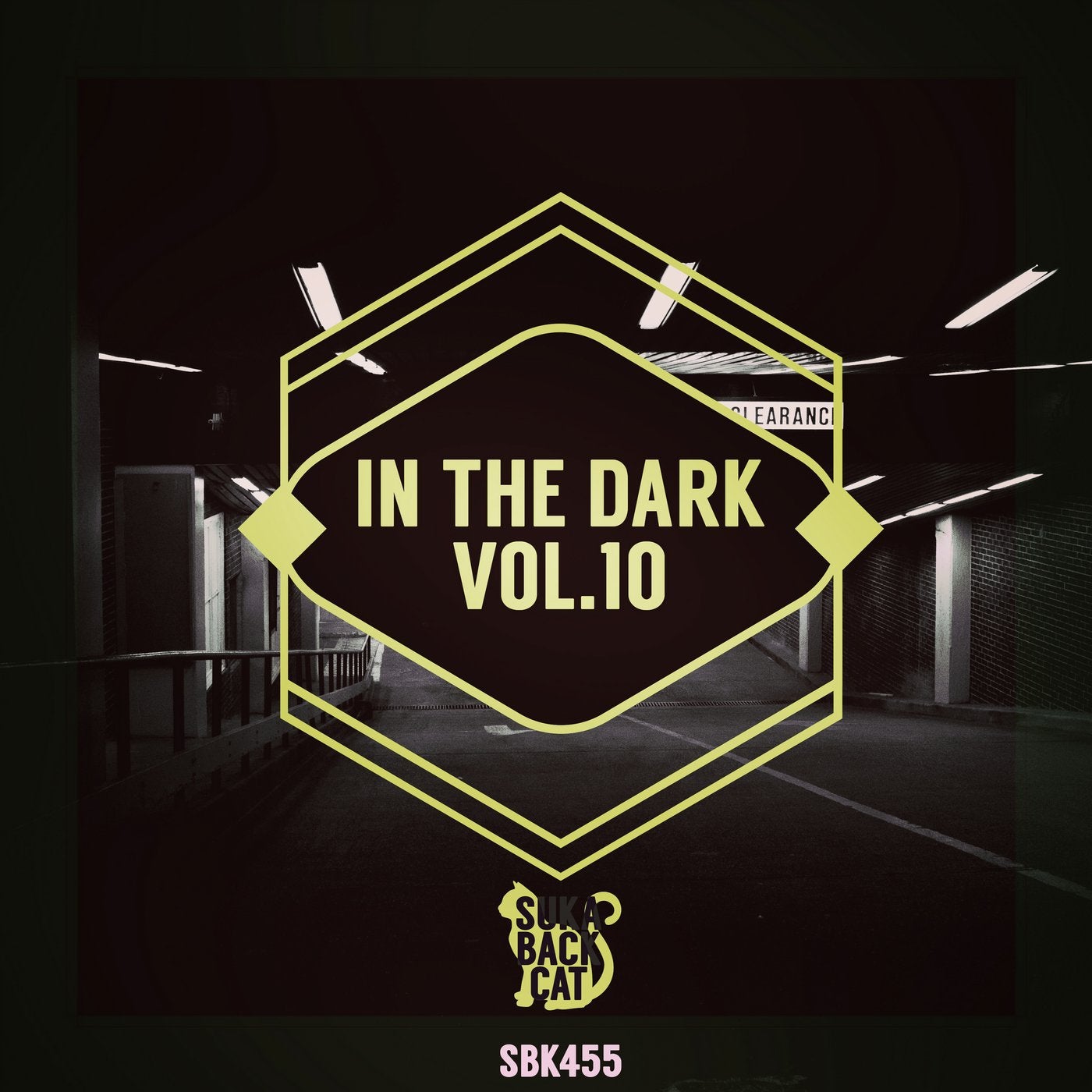 In the Dark Vol.10