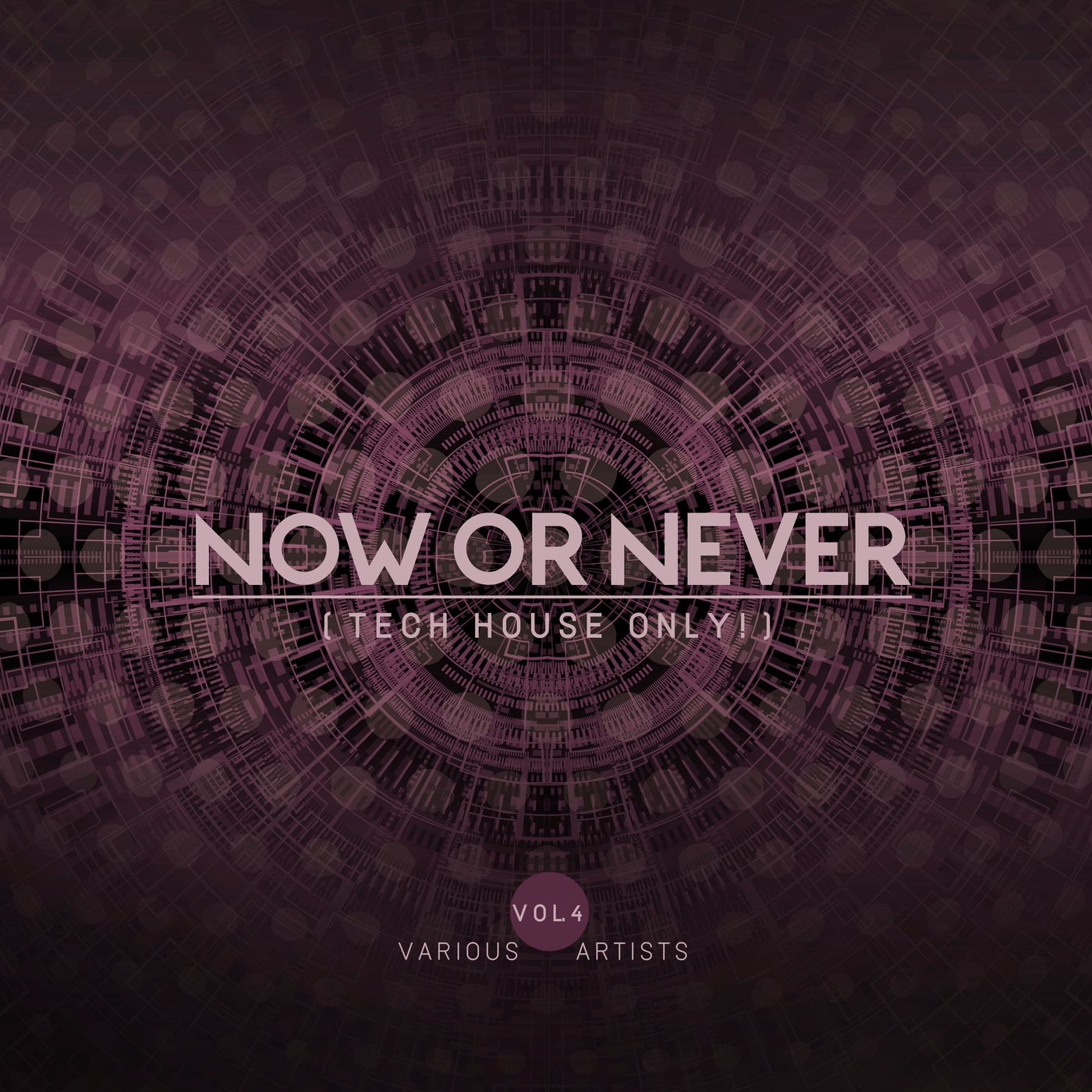 Now Or Never, Vol. 4 (Tech House ONLY!)