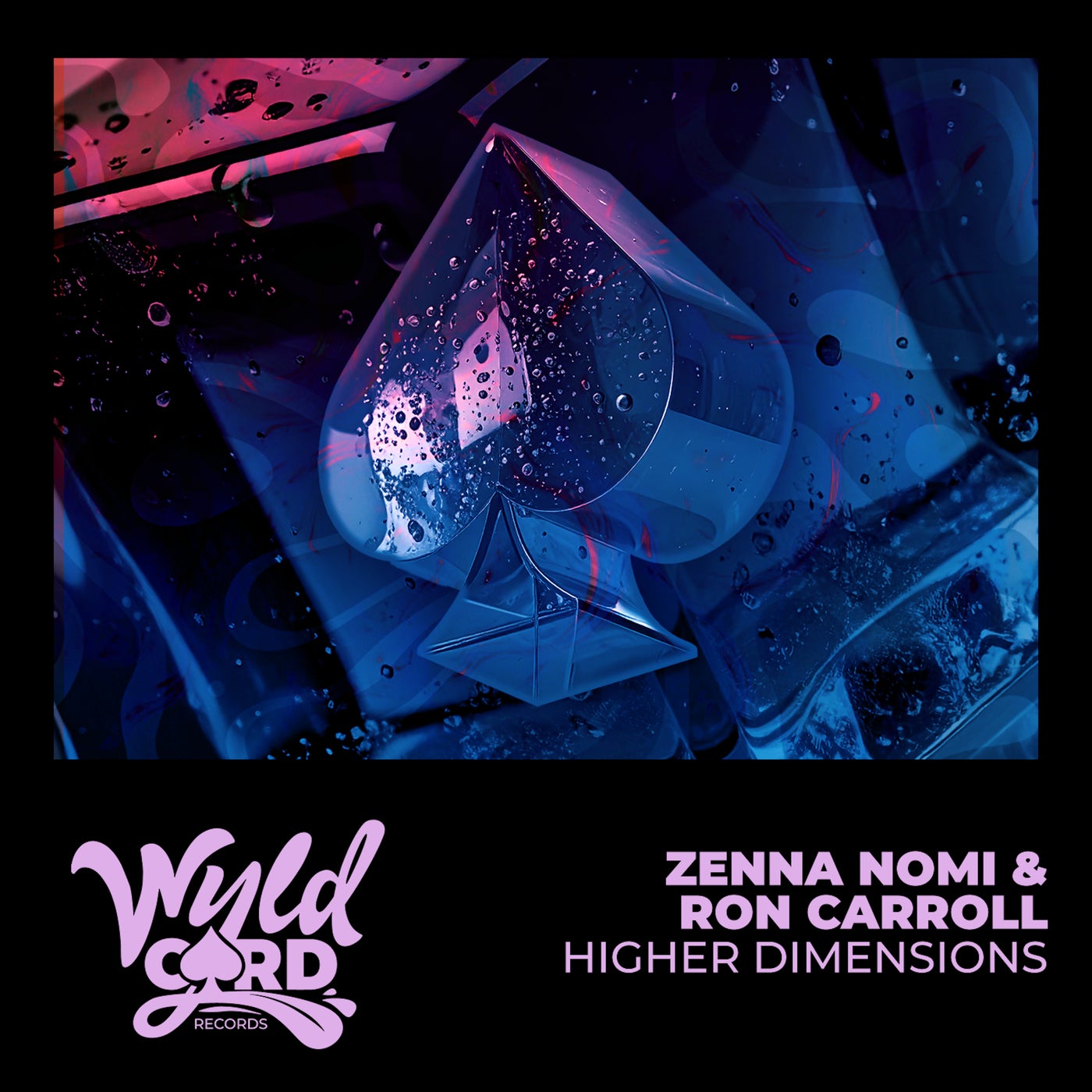 Higher Dimensions