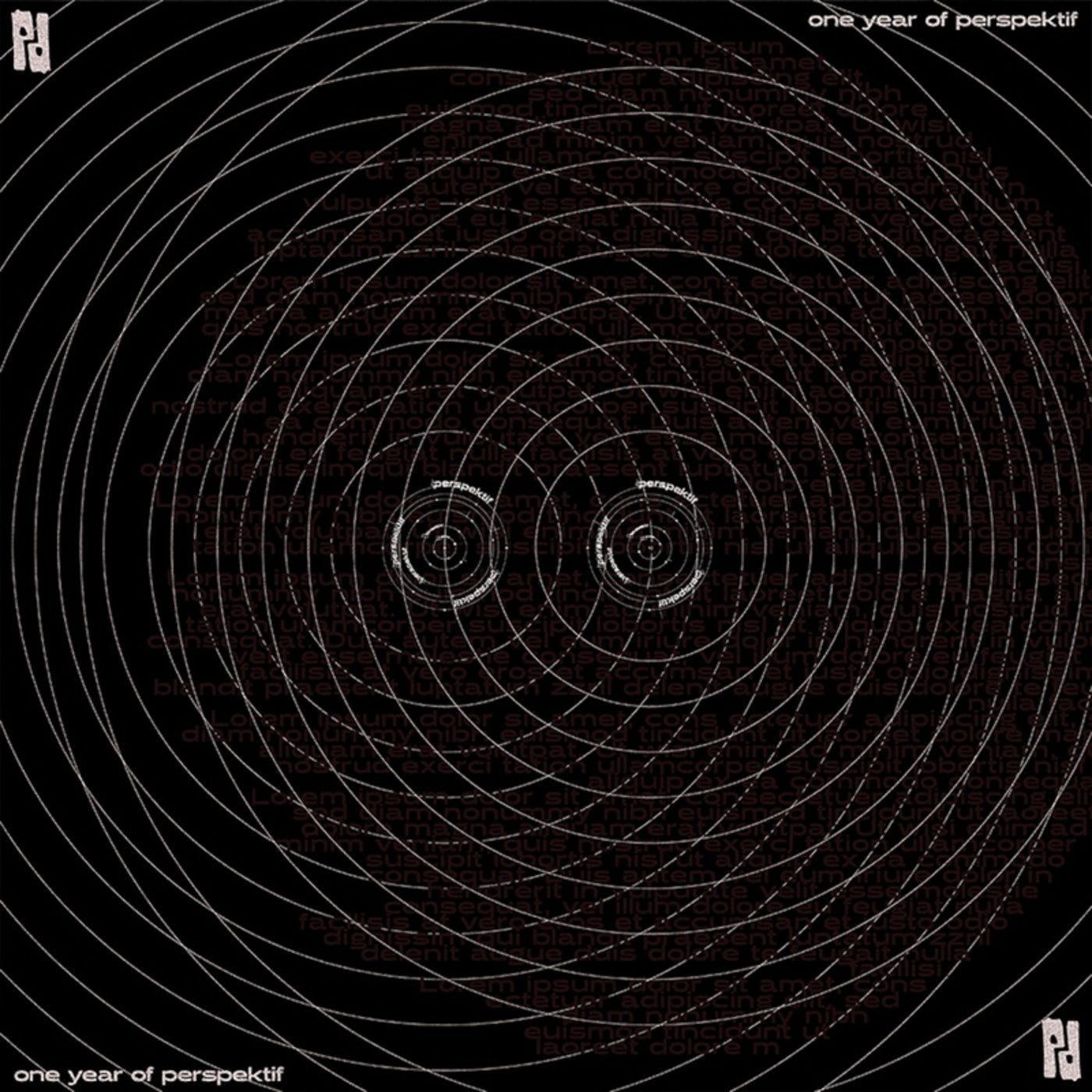 One Year of Perspektif - VA