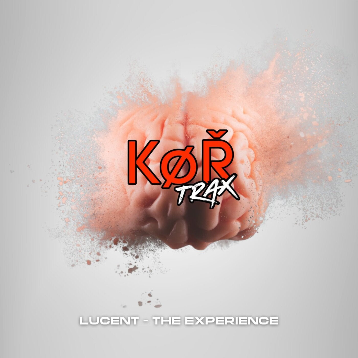 THE EXPERIENCE