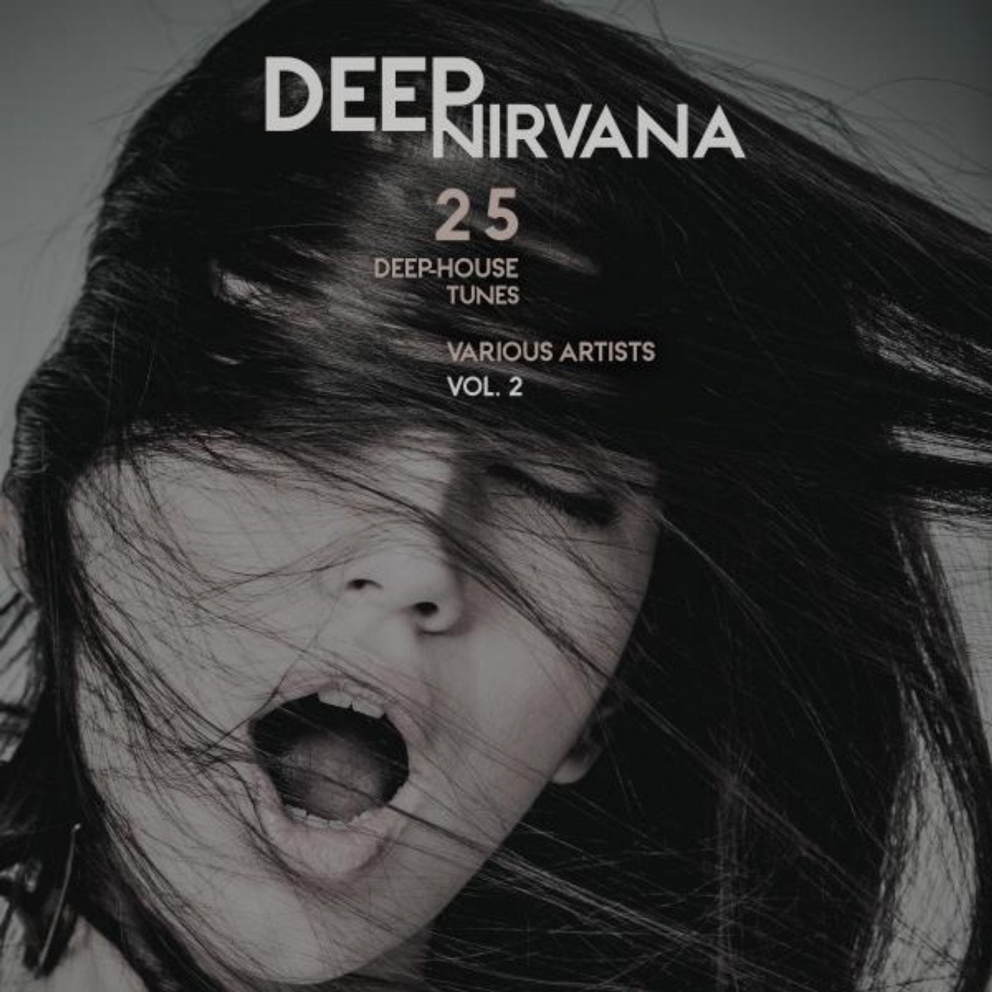 Deep Nirvana, Vol. 2 (25 Deep-House Tunes)