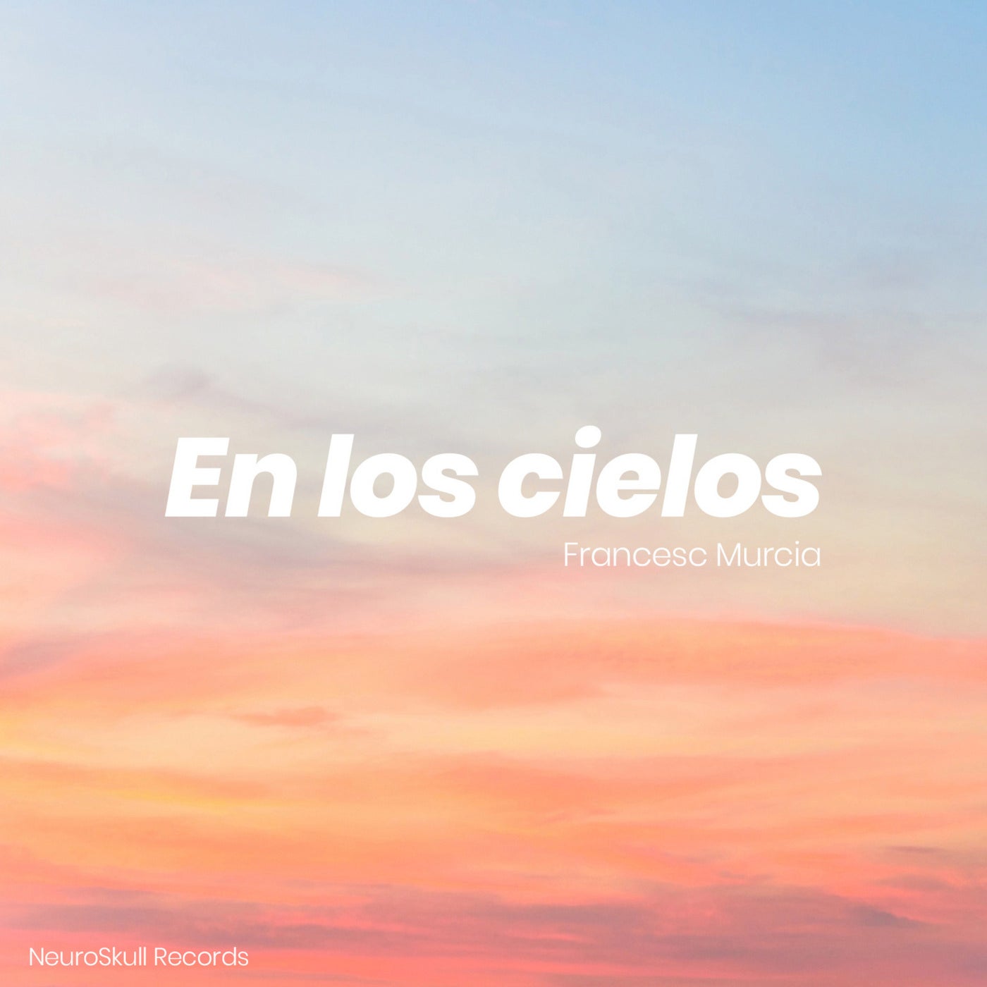 Cover art for En los cielos