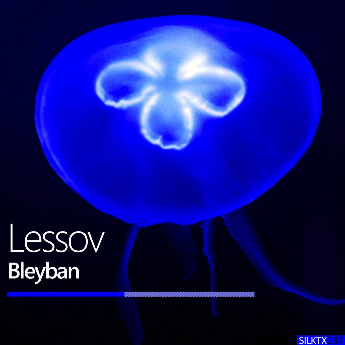 Bleyban