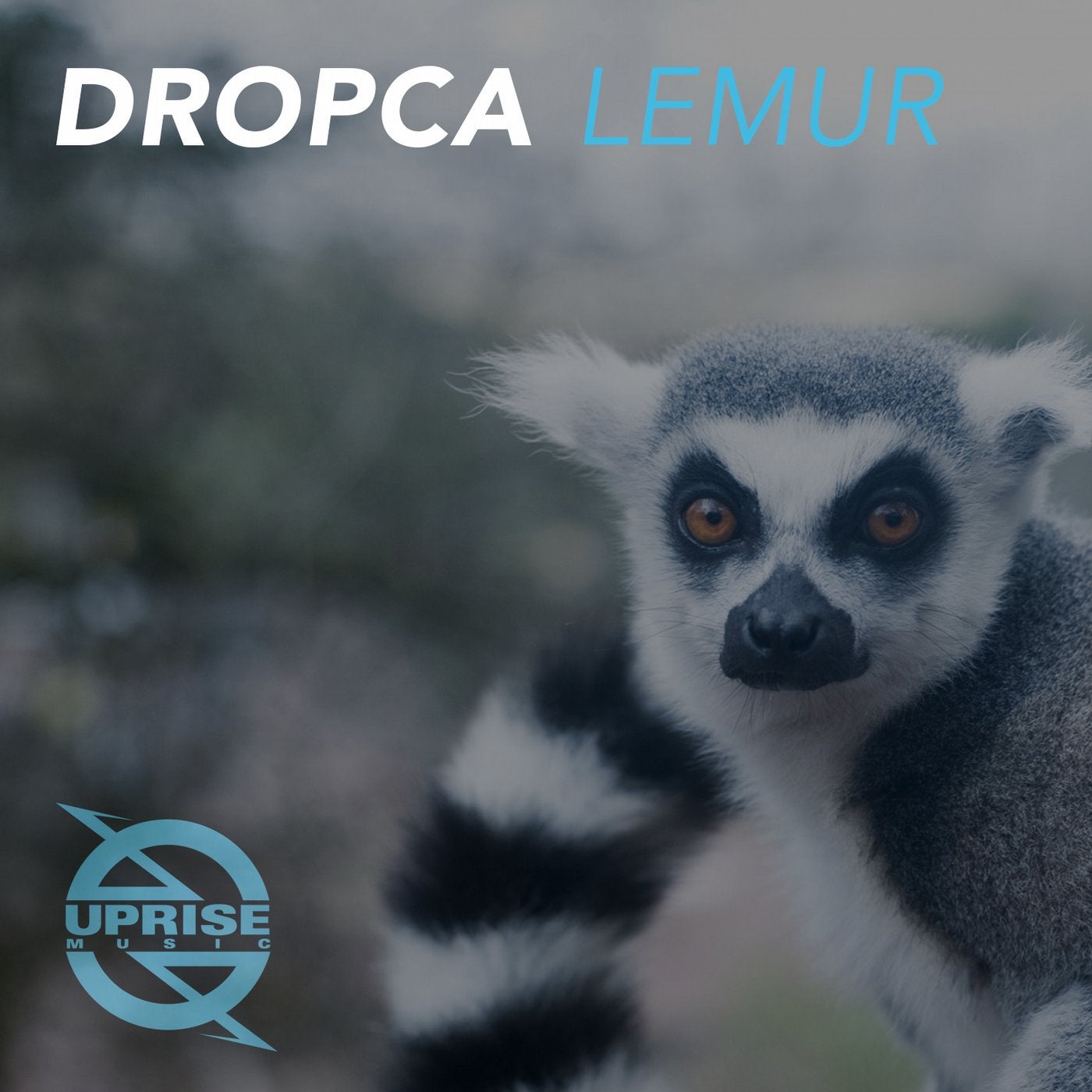 Lemur