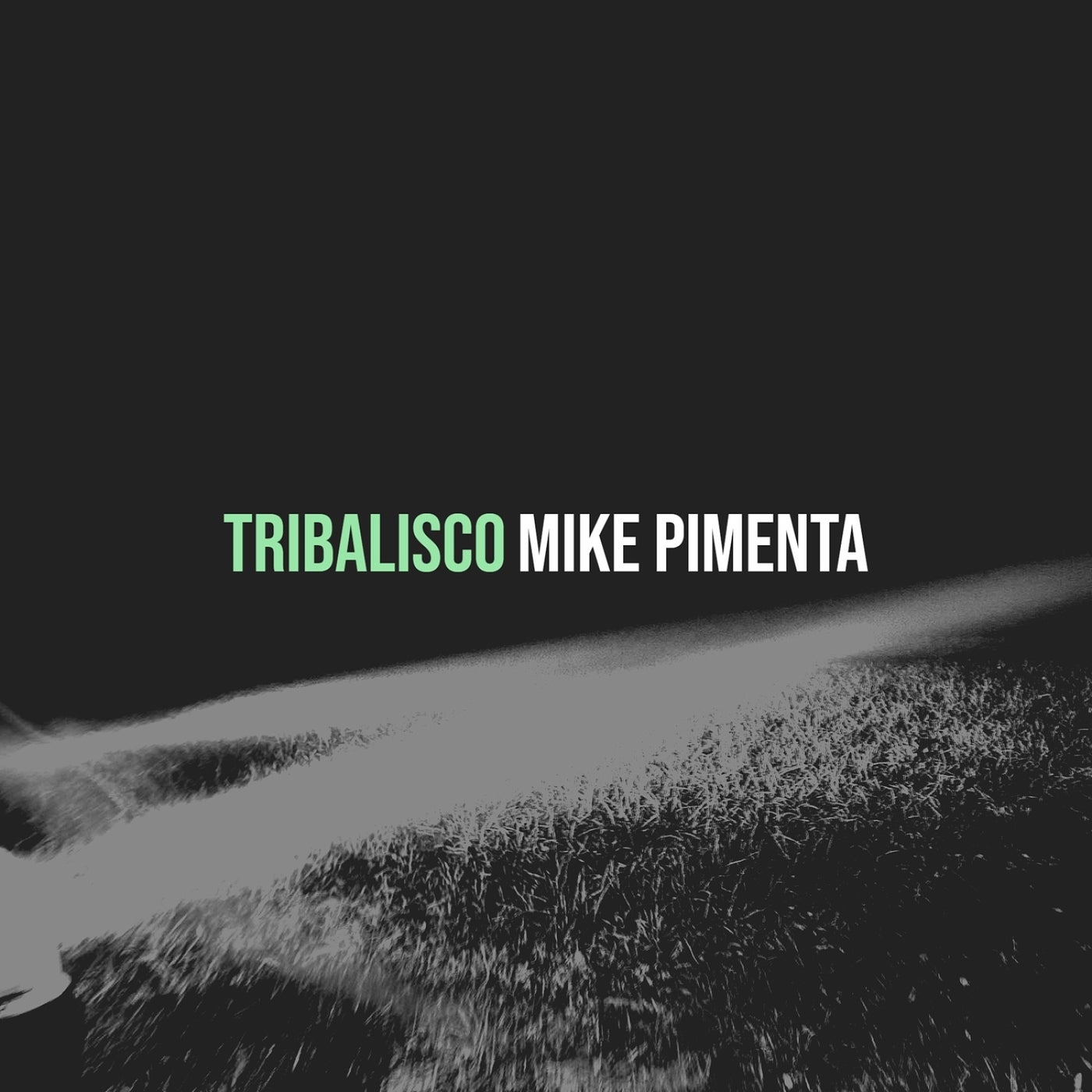 Tribalisco