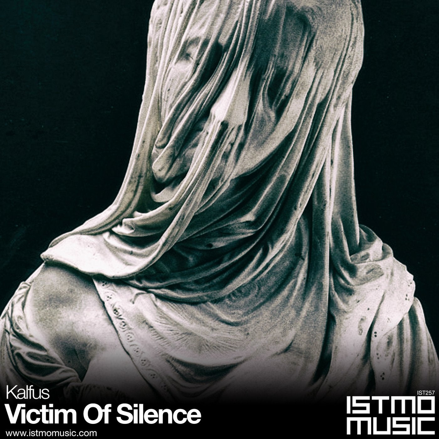 Victim Of Silence