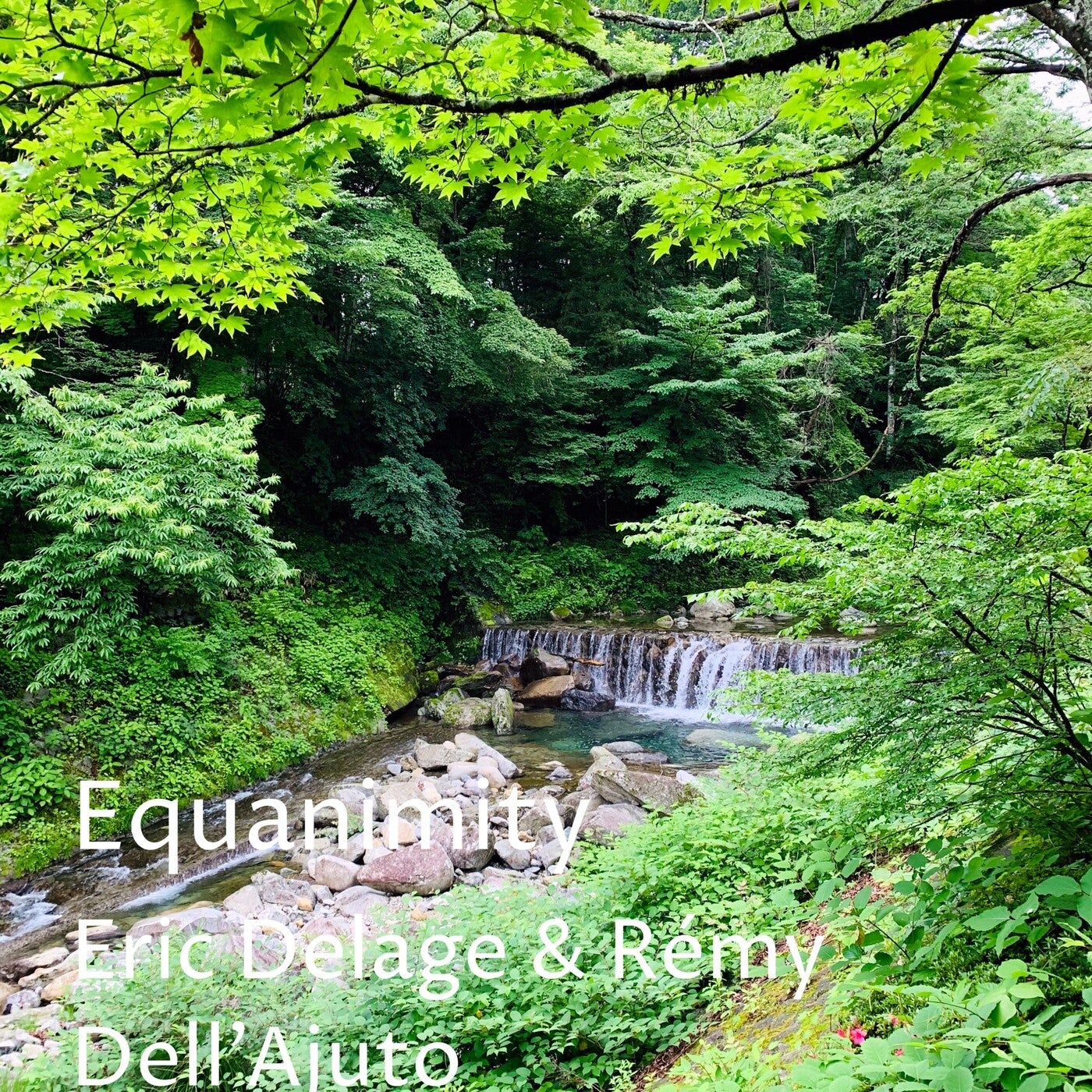 Equanimity