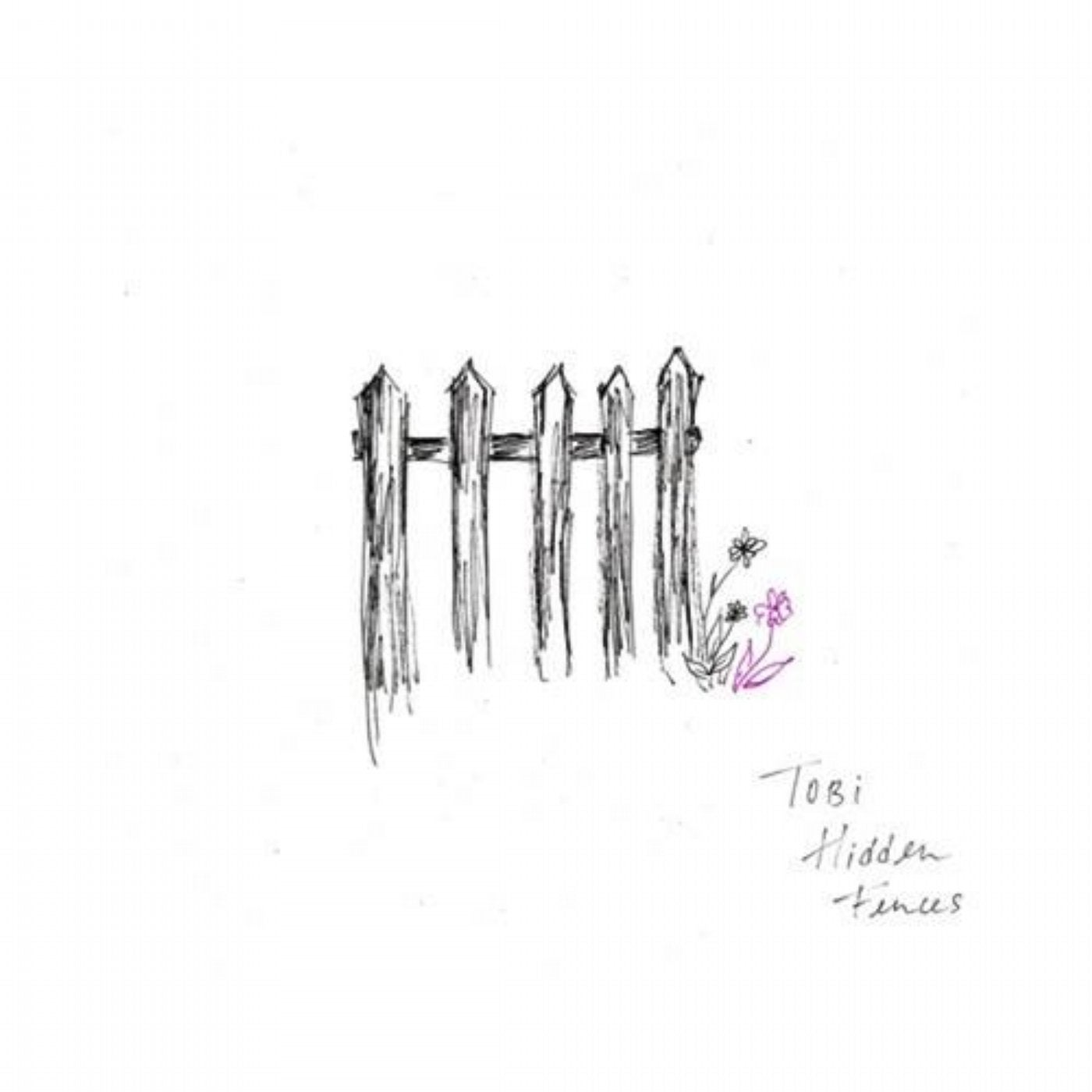 Hidden Fences (demo)
