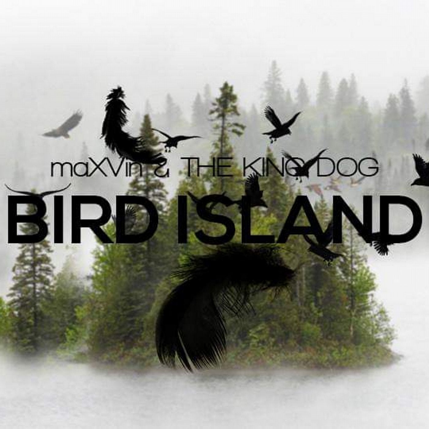 Bird Island