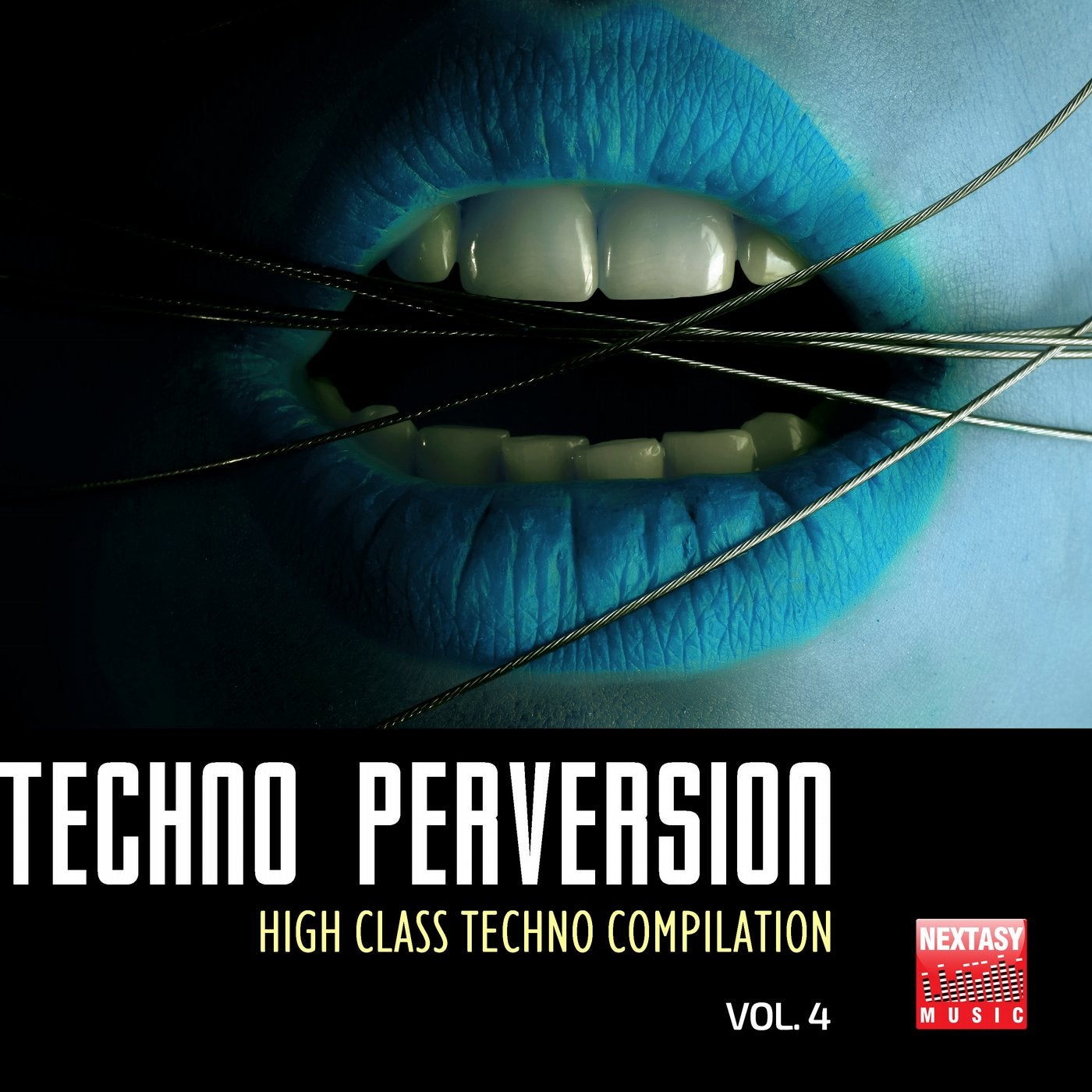 Techno Perversion, Vol. 4 (High Class Techno Compilation)