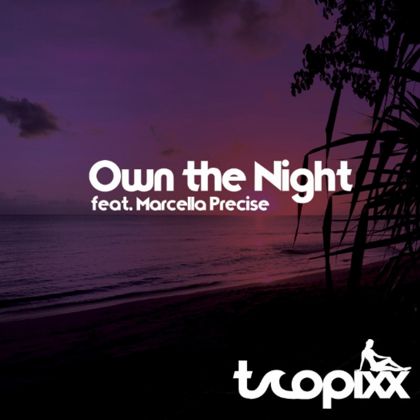 Own the Night (feat. Marcella Precise)