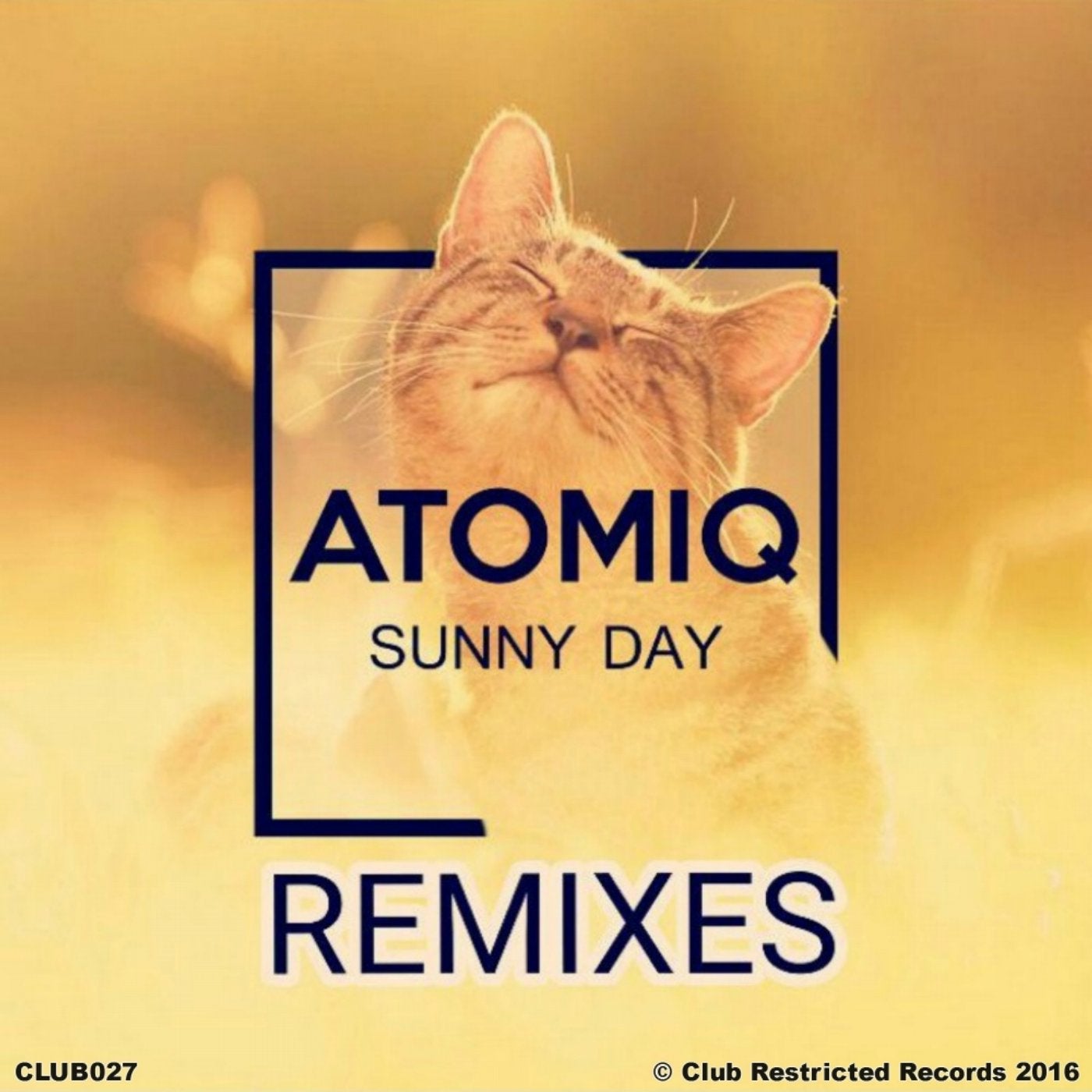 Sunny Day Remixes