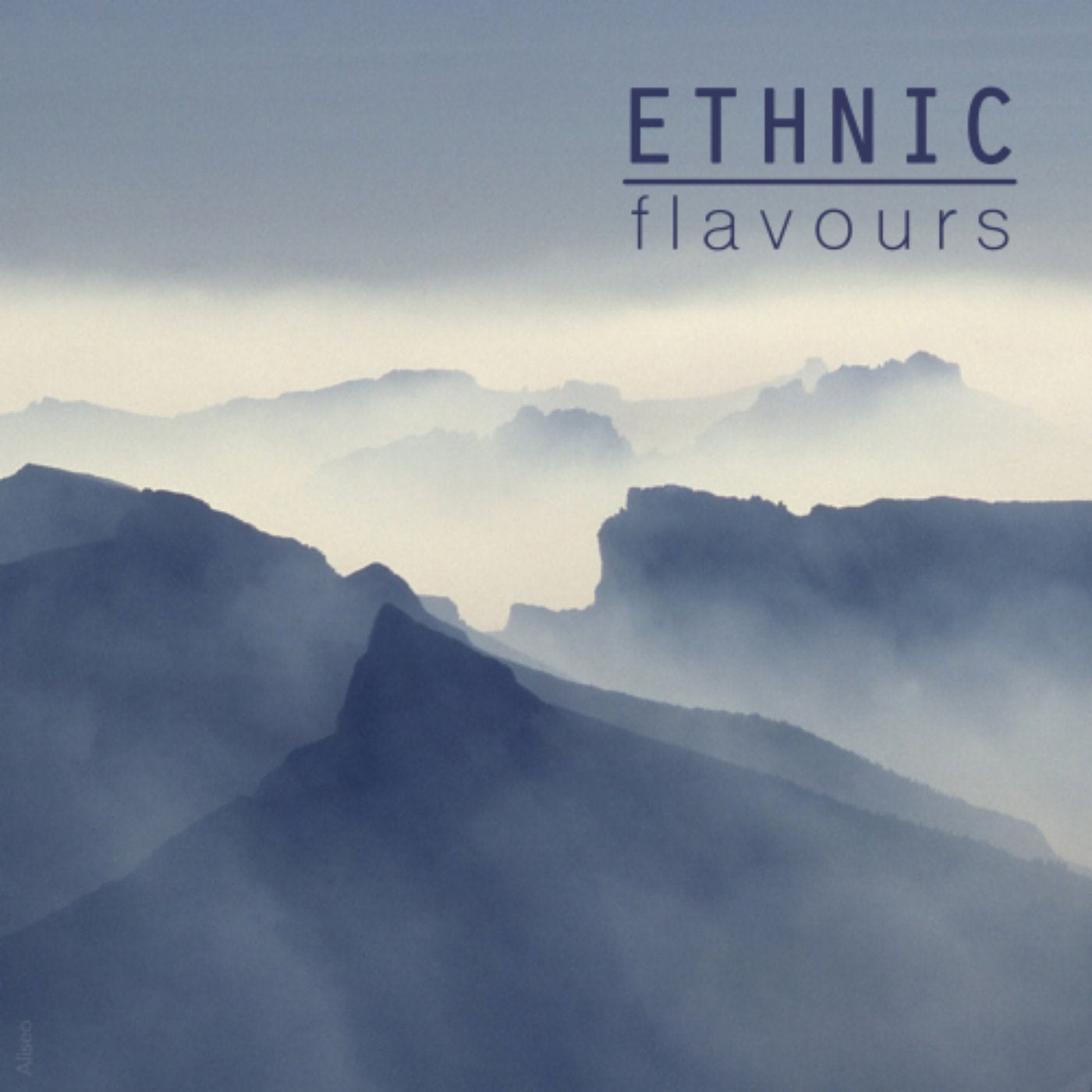 Ethnic Flavours