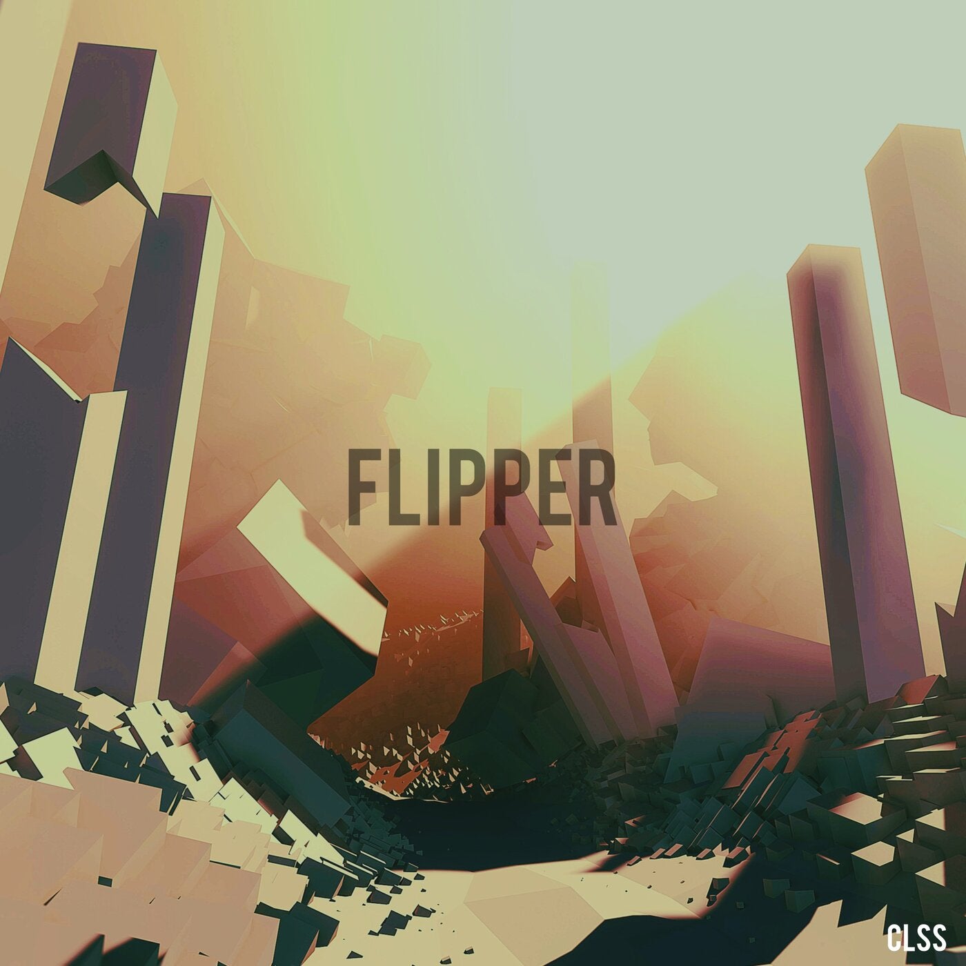 Flipper