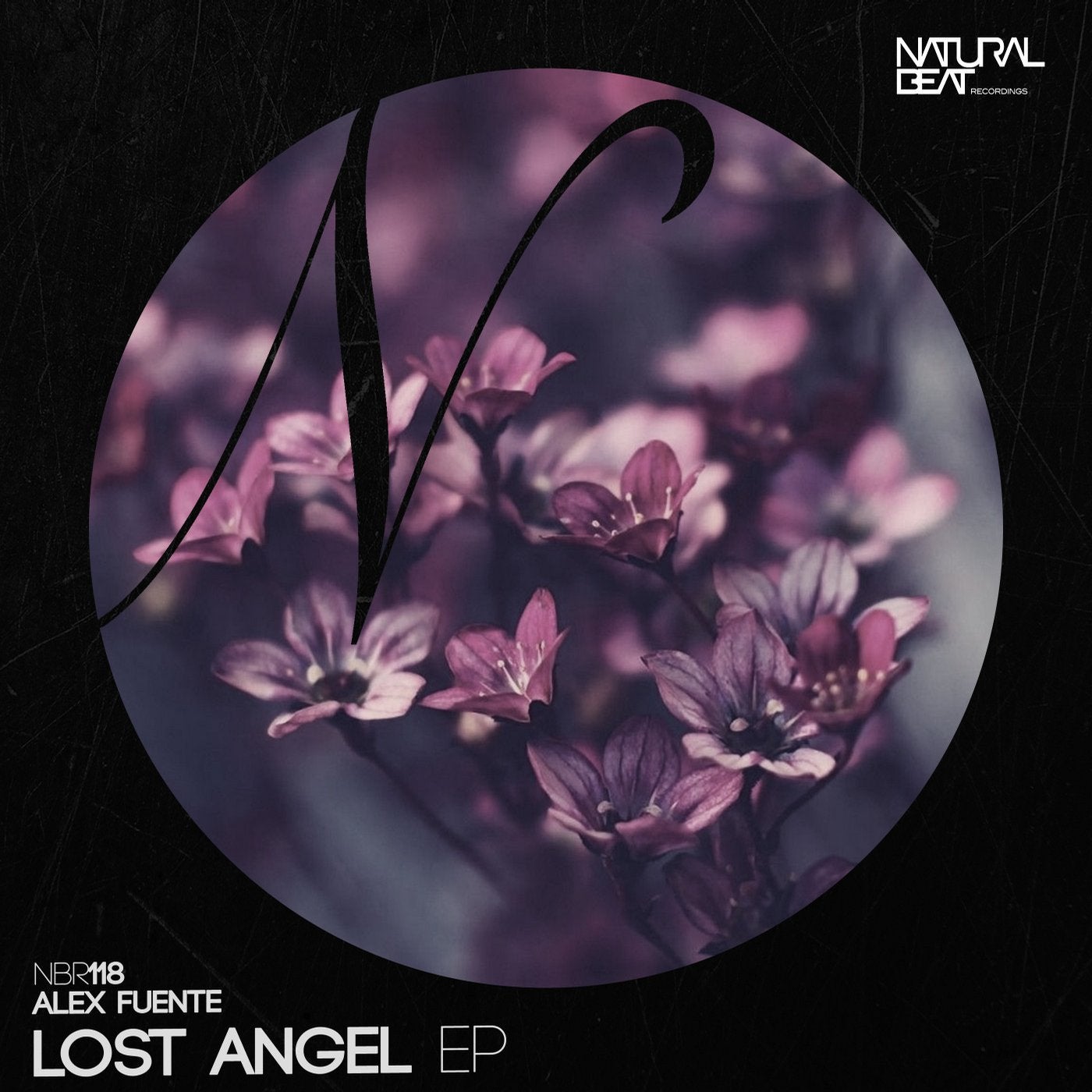 Lost Angel