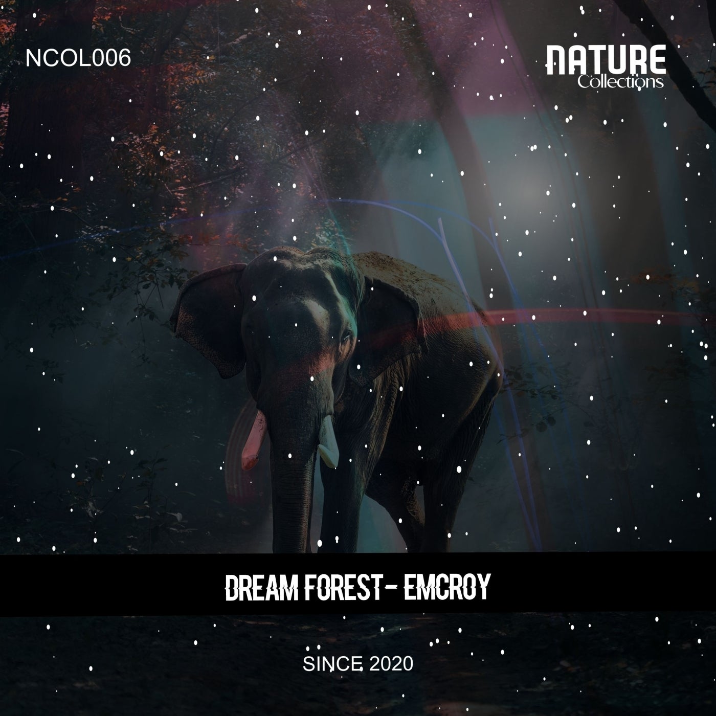 Dream Forest