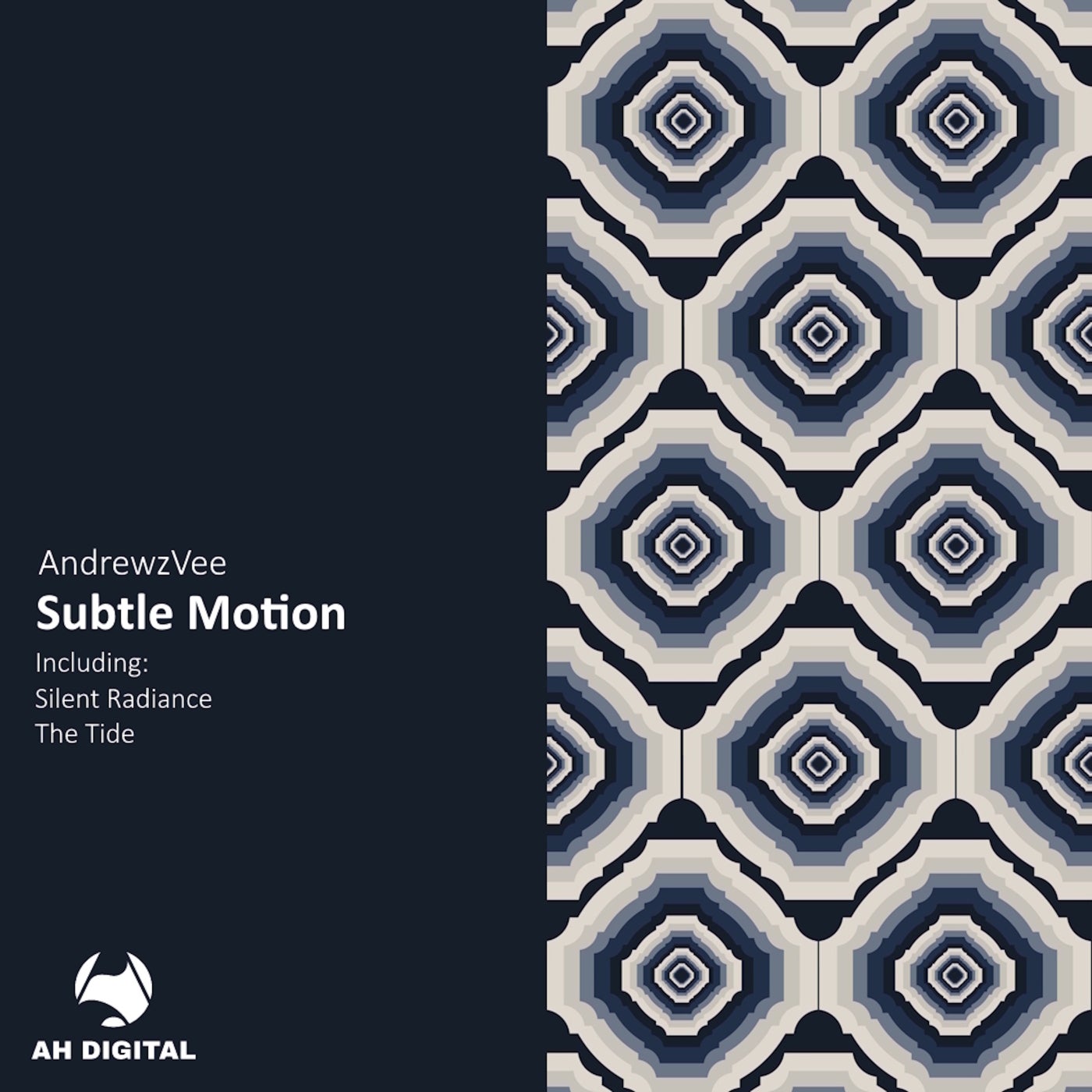 Subtle Motion