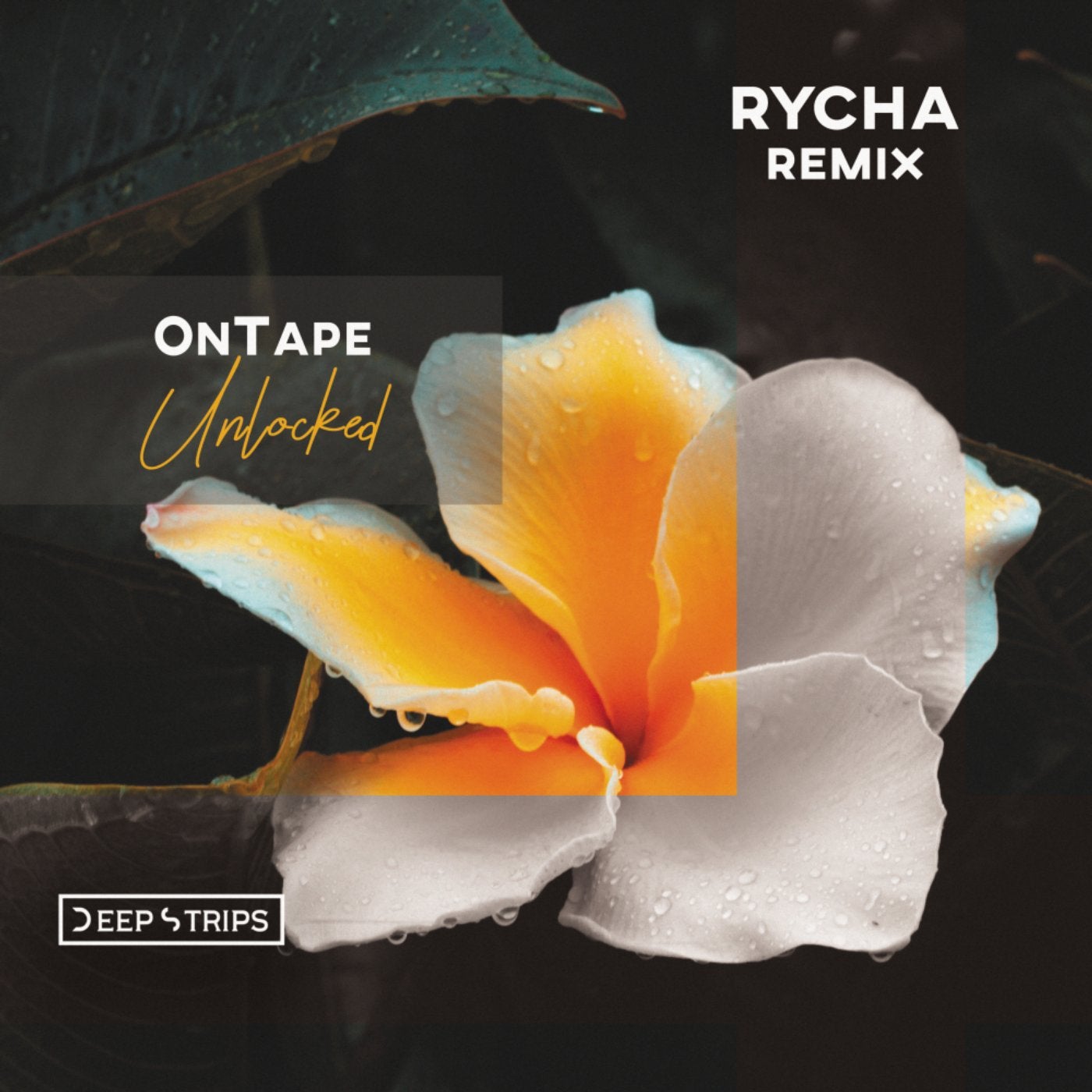 Unlocked (Rycha Remix)