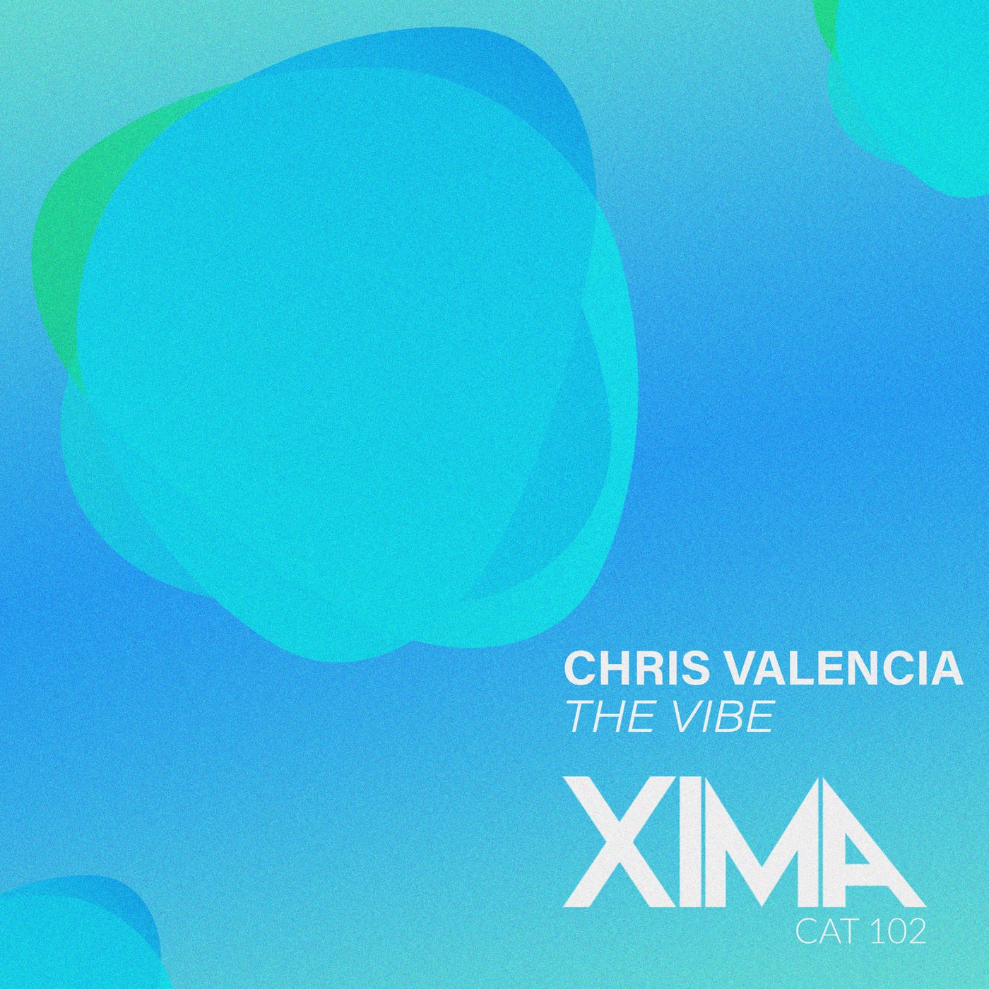 The Vibe (Extended Mix)