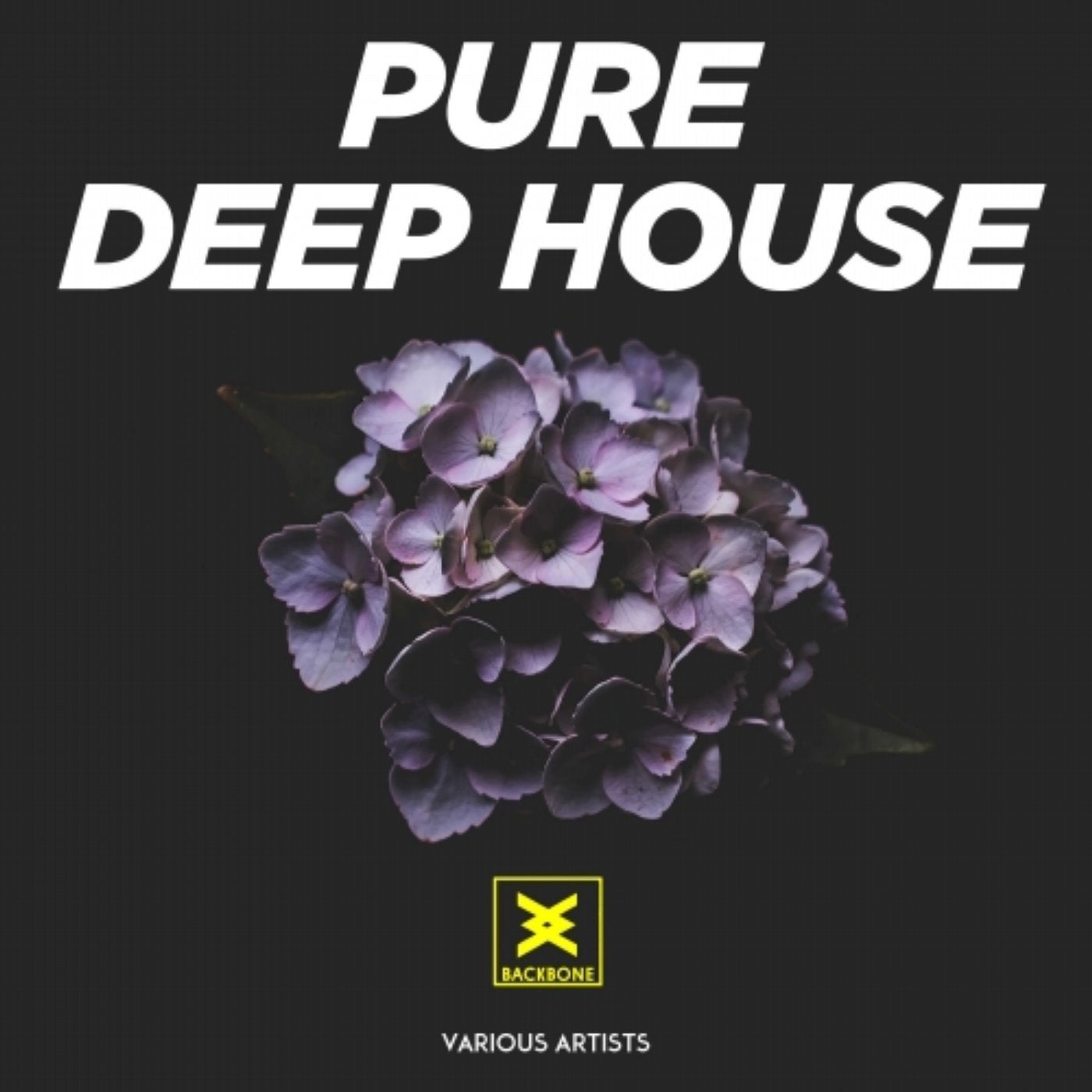 Pure Deep House