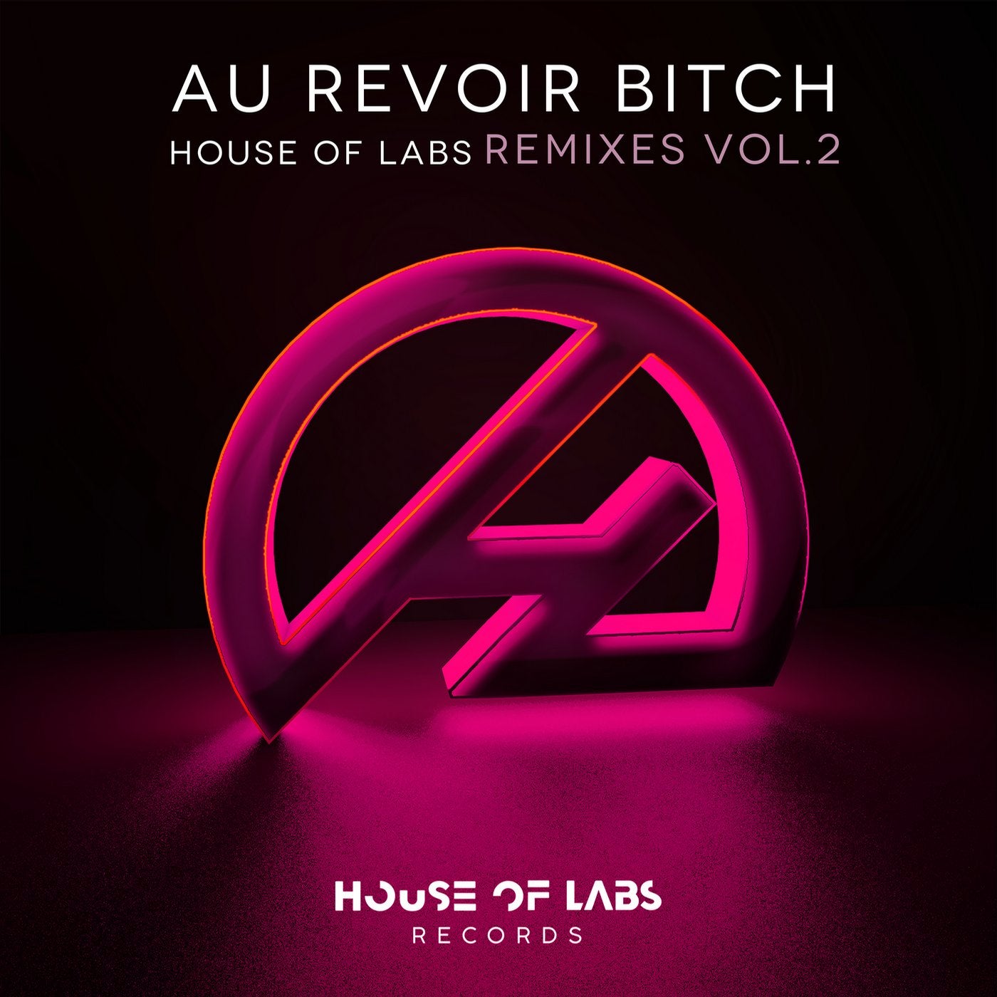 Au Revoir Bitch (Remixes Vol. 2)