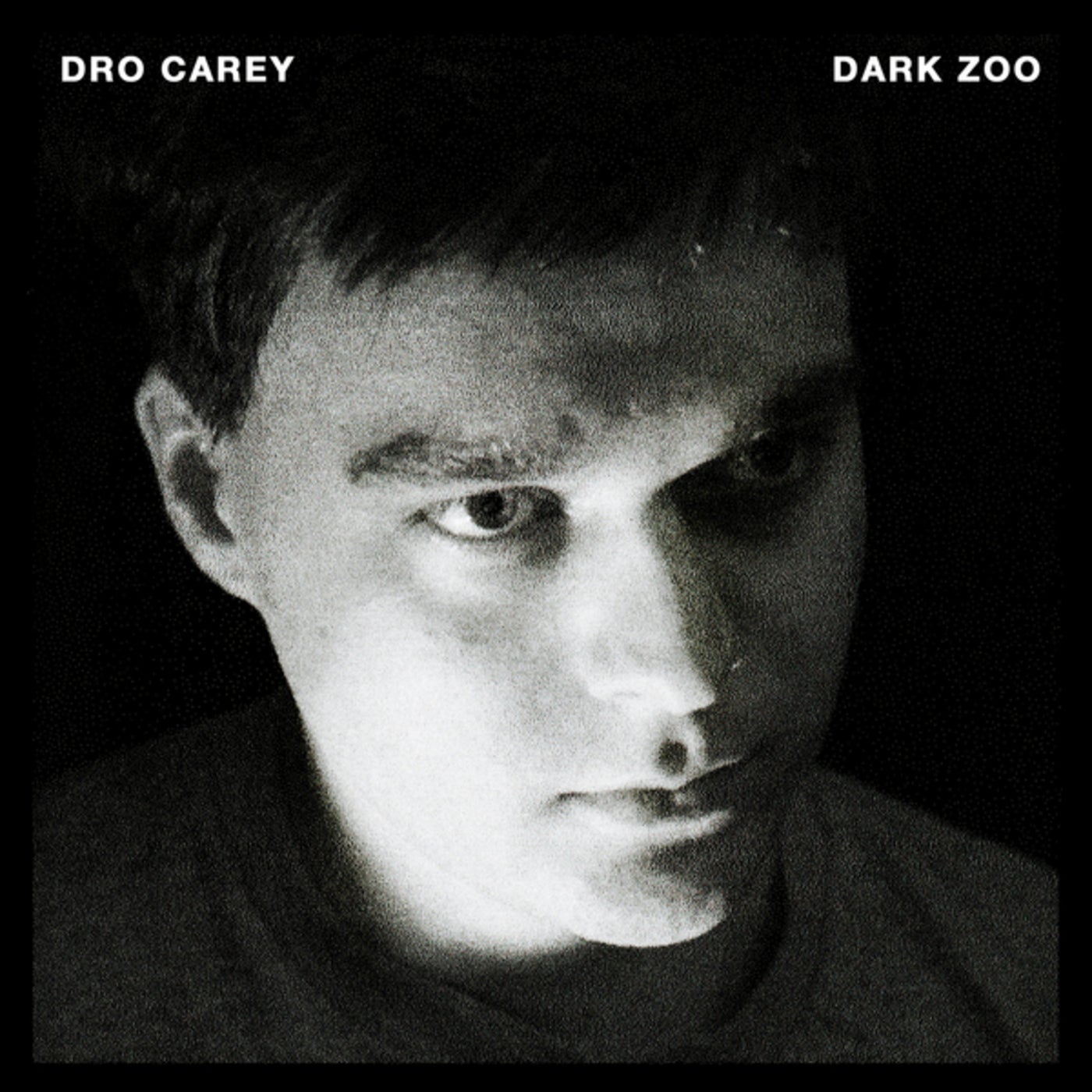 Dark Zoo