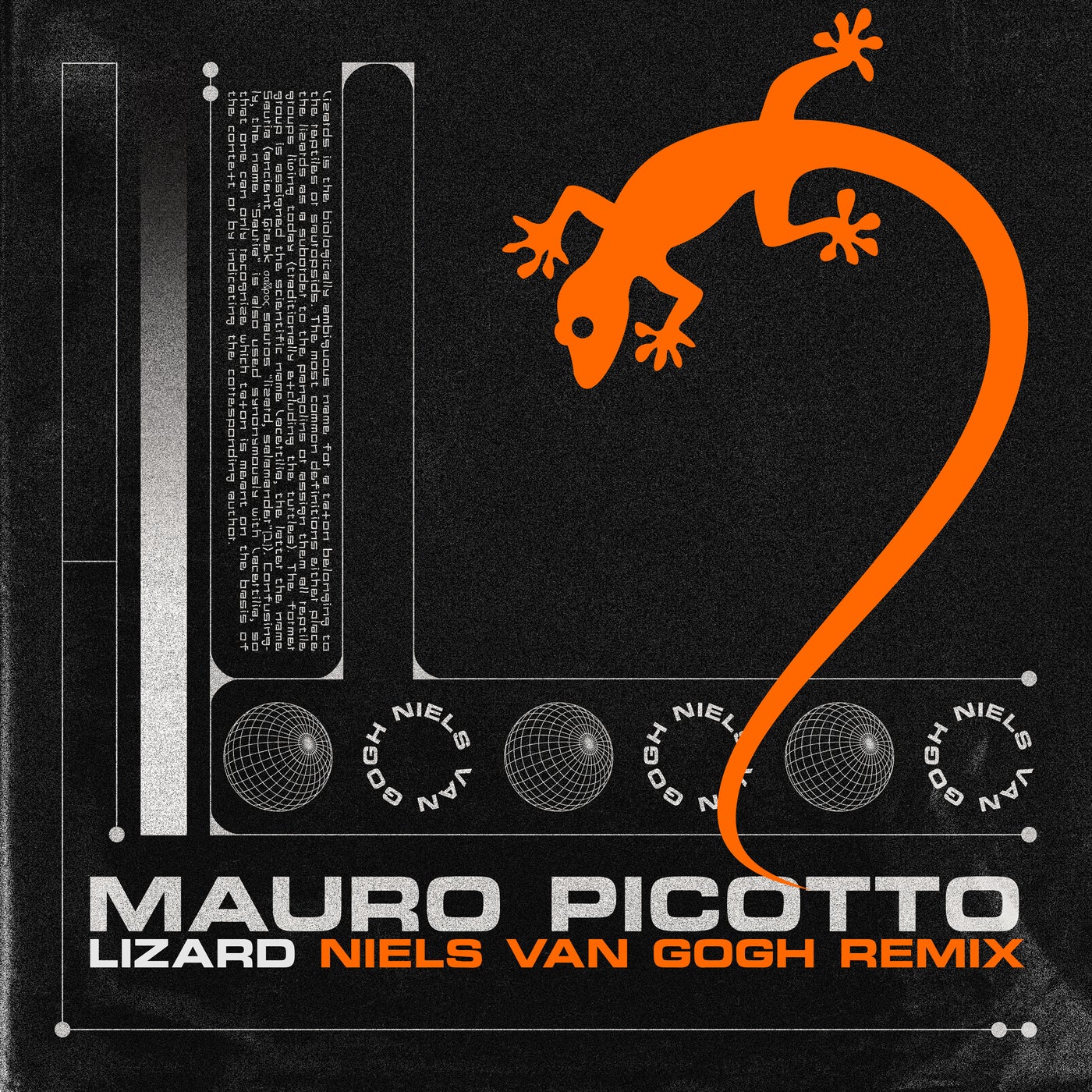 Lizard (Niels Van Gogh Extended Remix)