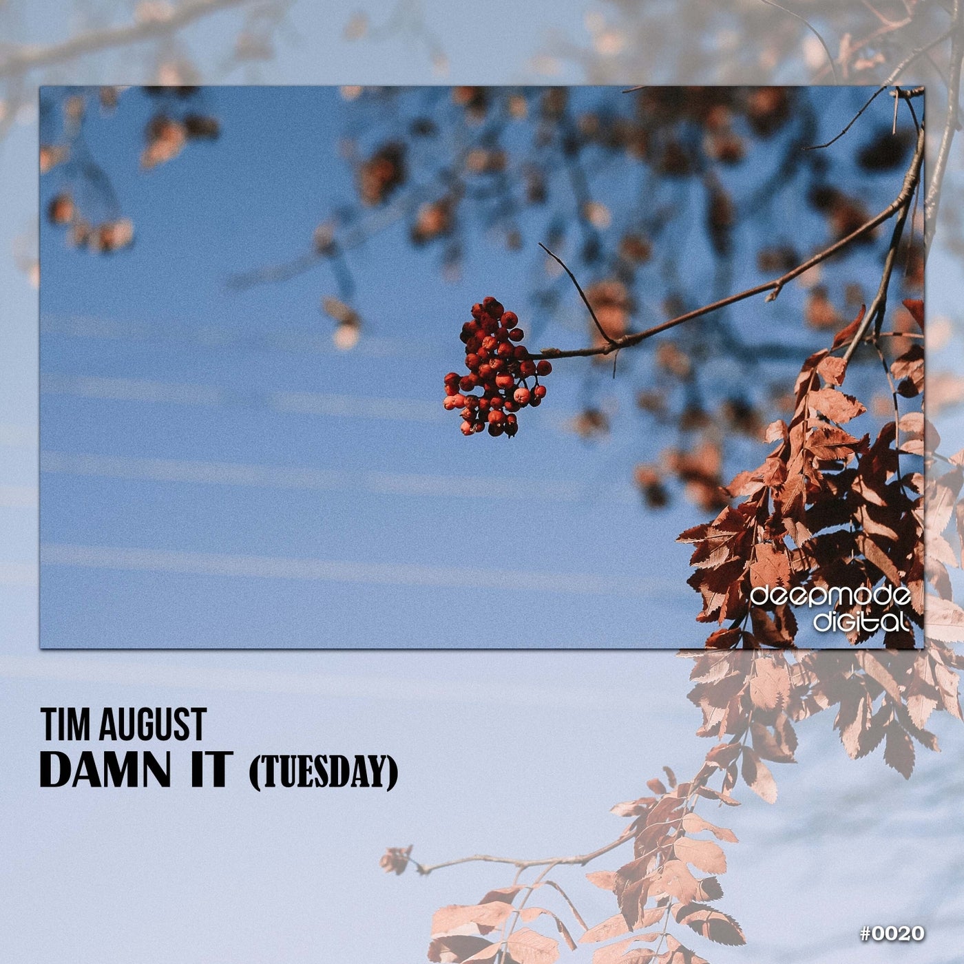 Damn It (Tuesday)