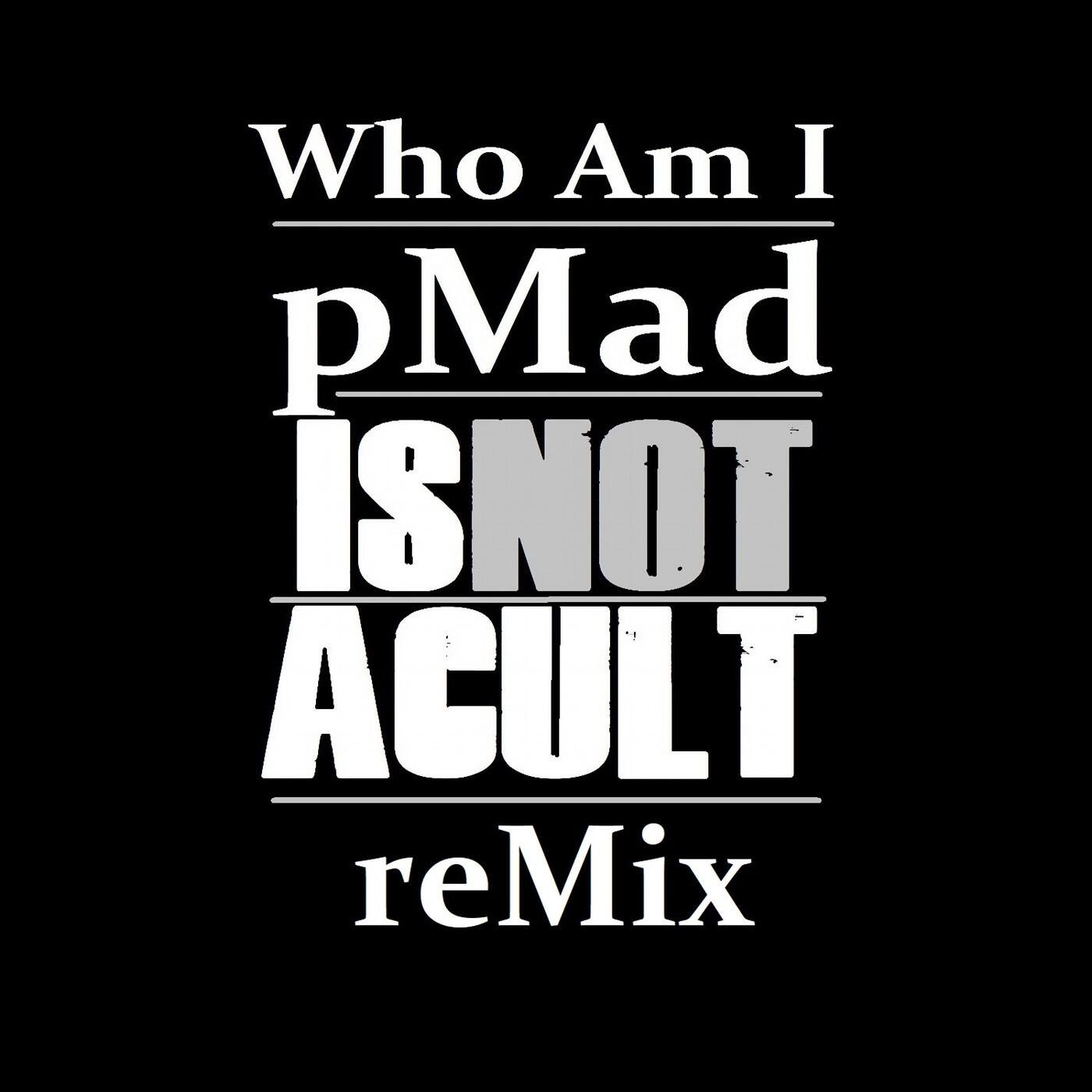 Who Am I (pMad reMix)