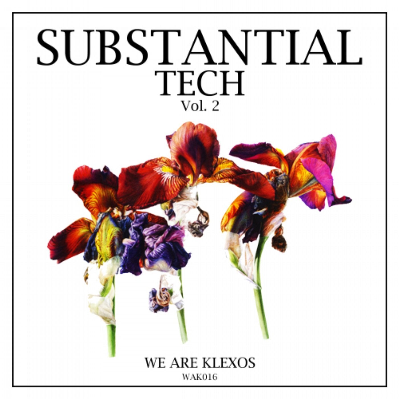 Substantial Tech, Vol. 2