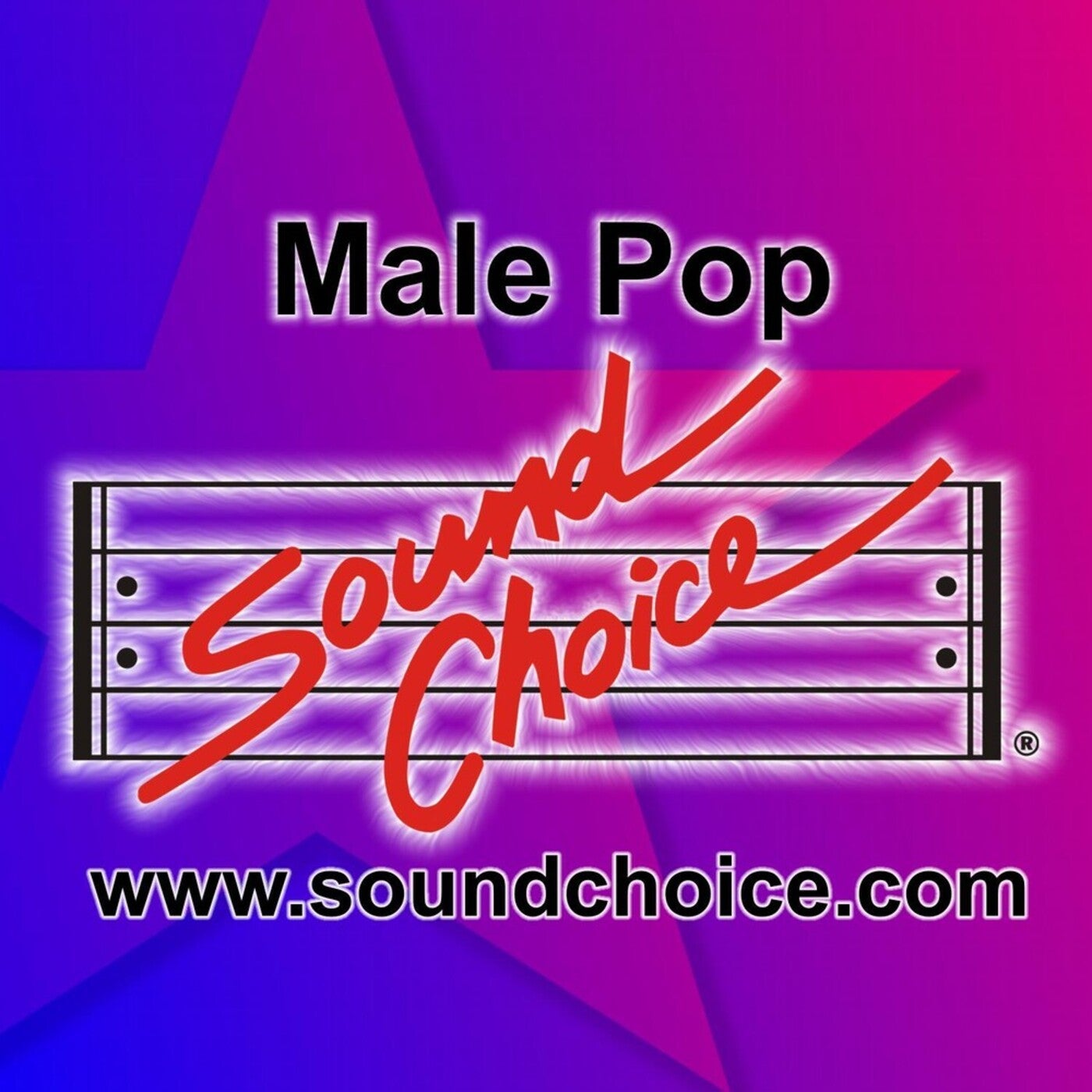 Karaoke - Classic Male Pop Vol. 21