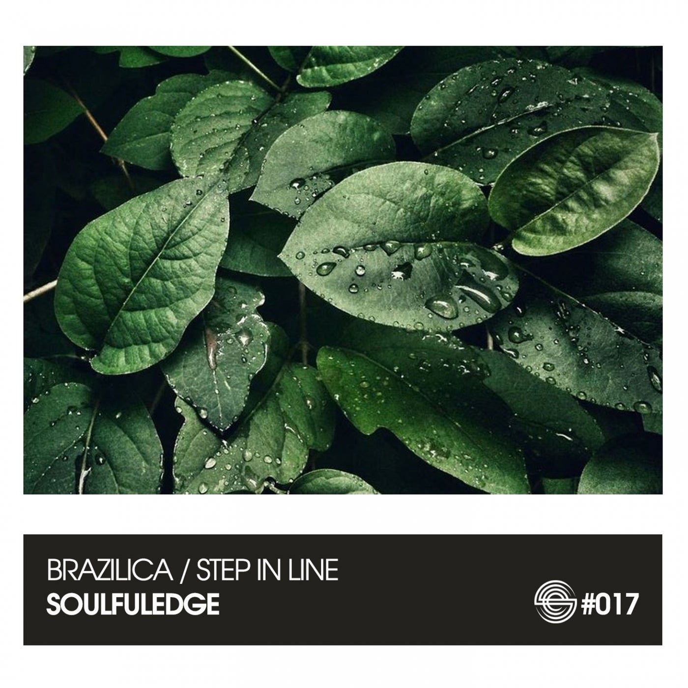 Step in Line / Brazilica