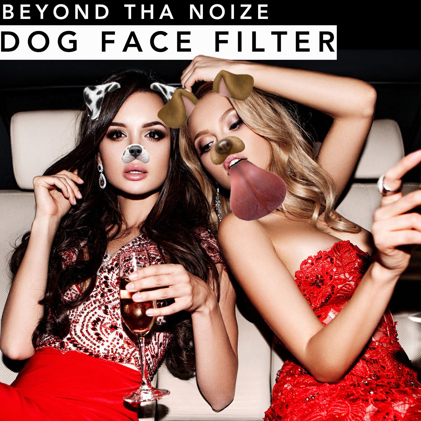 Dog Face Filter