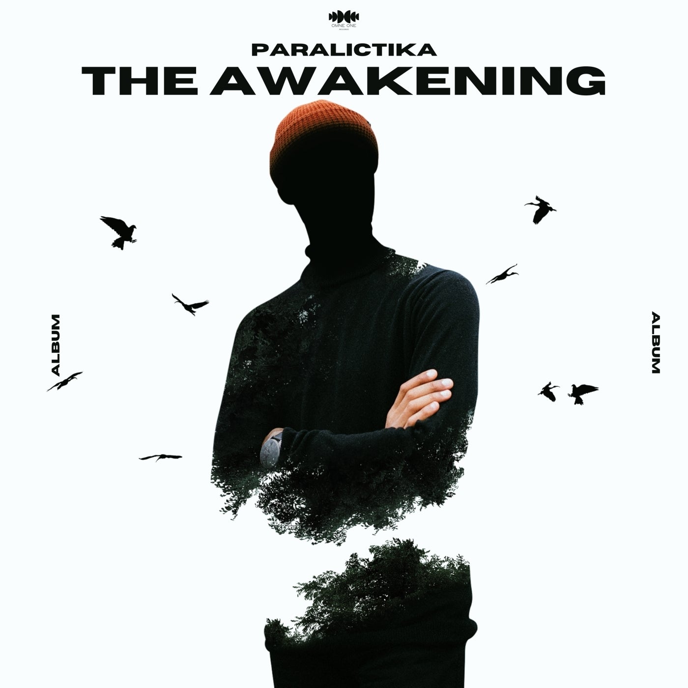 The Awakening