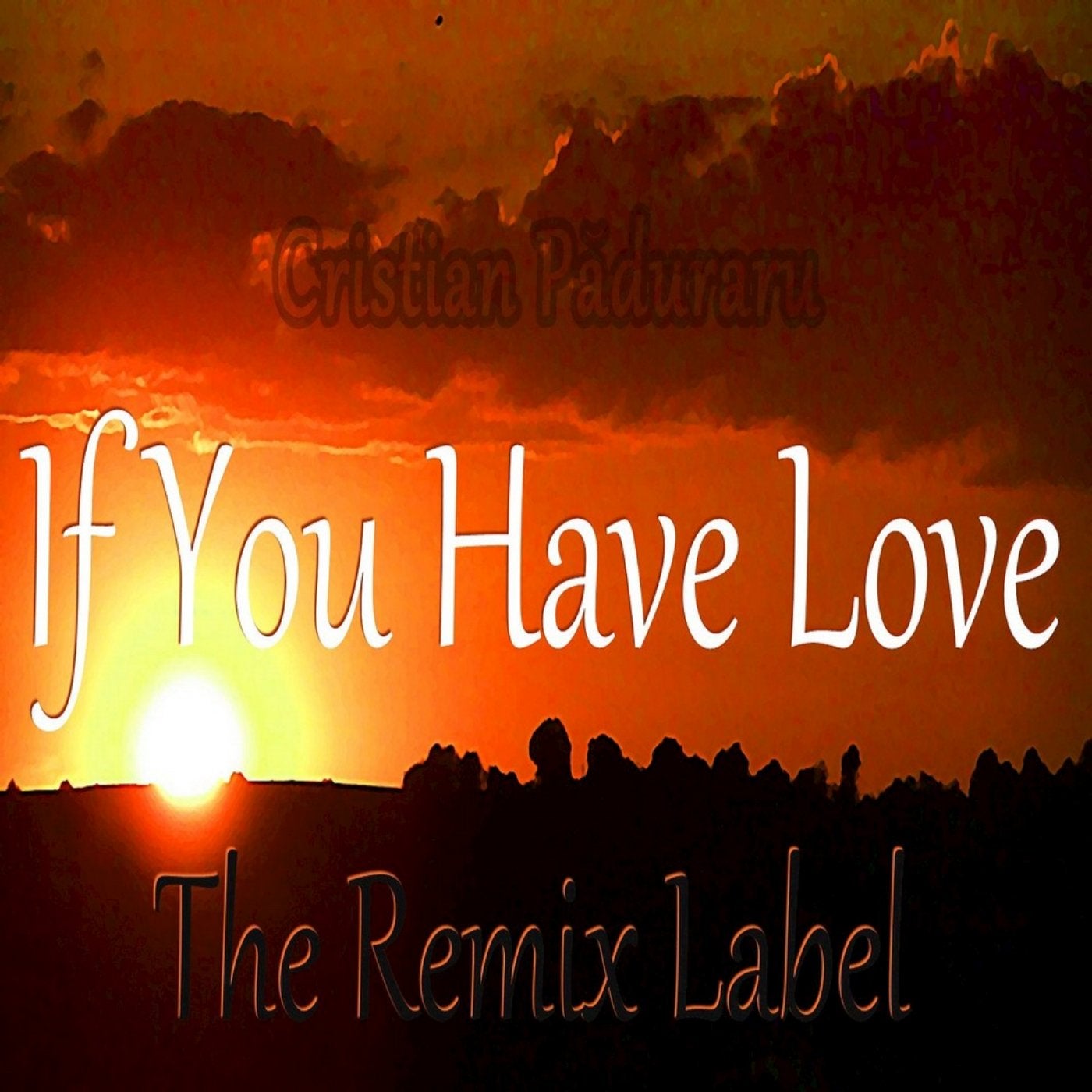 If You Have Love (Mix)